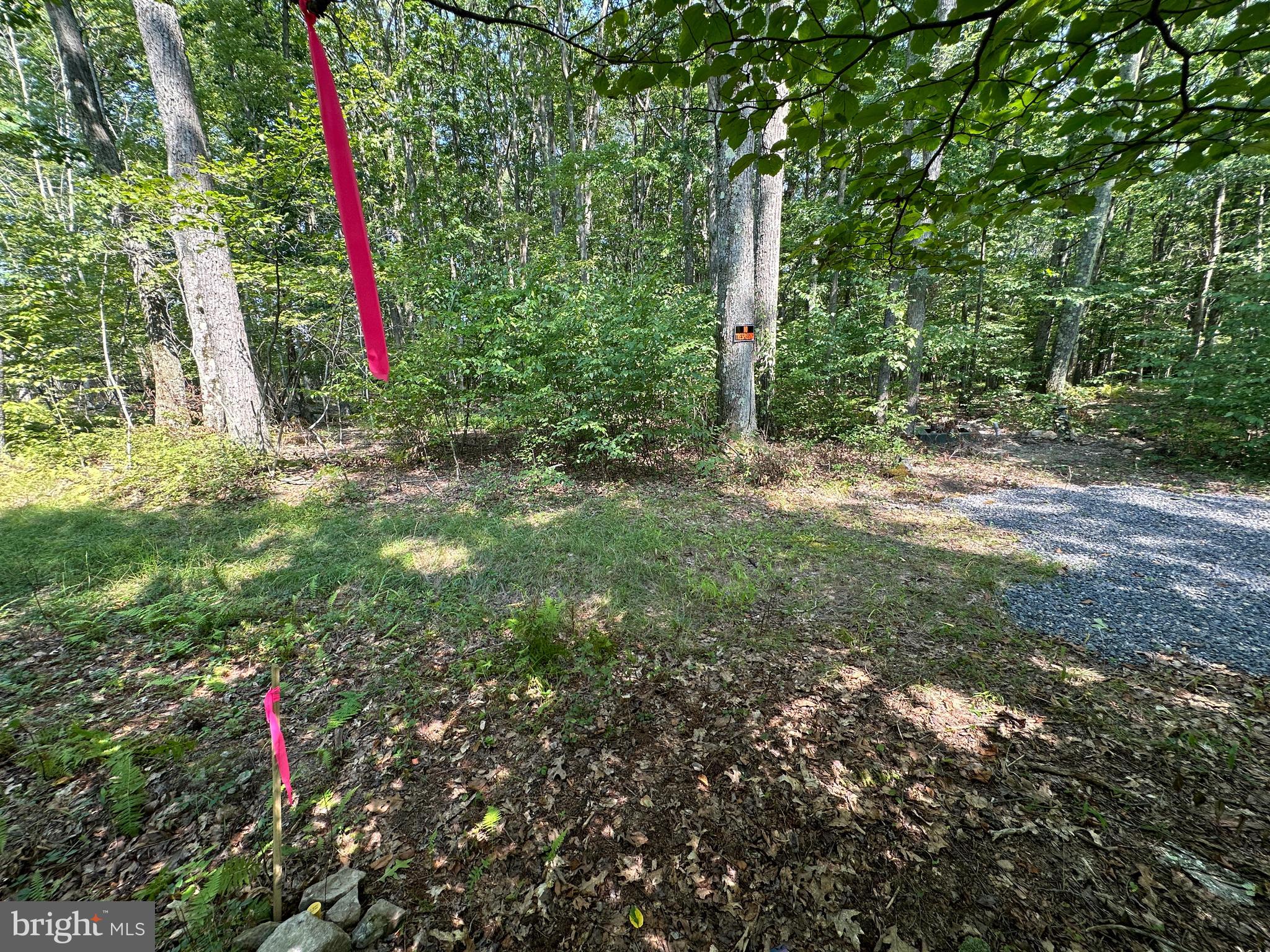 MURRAY WOODS - Land