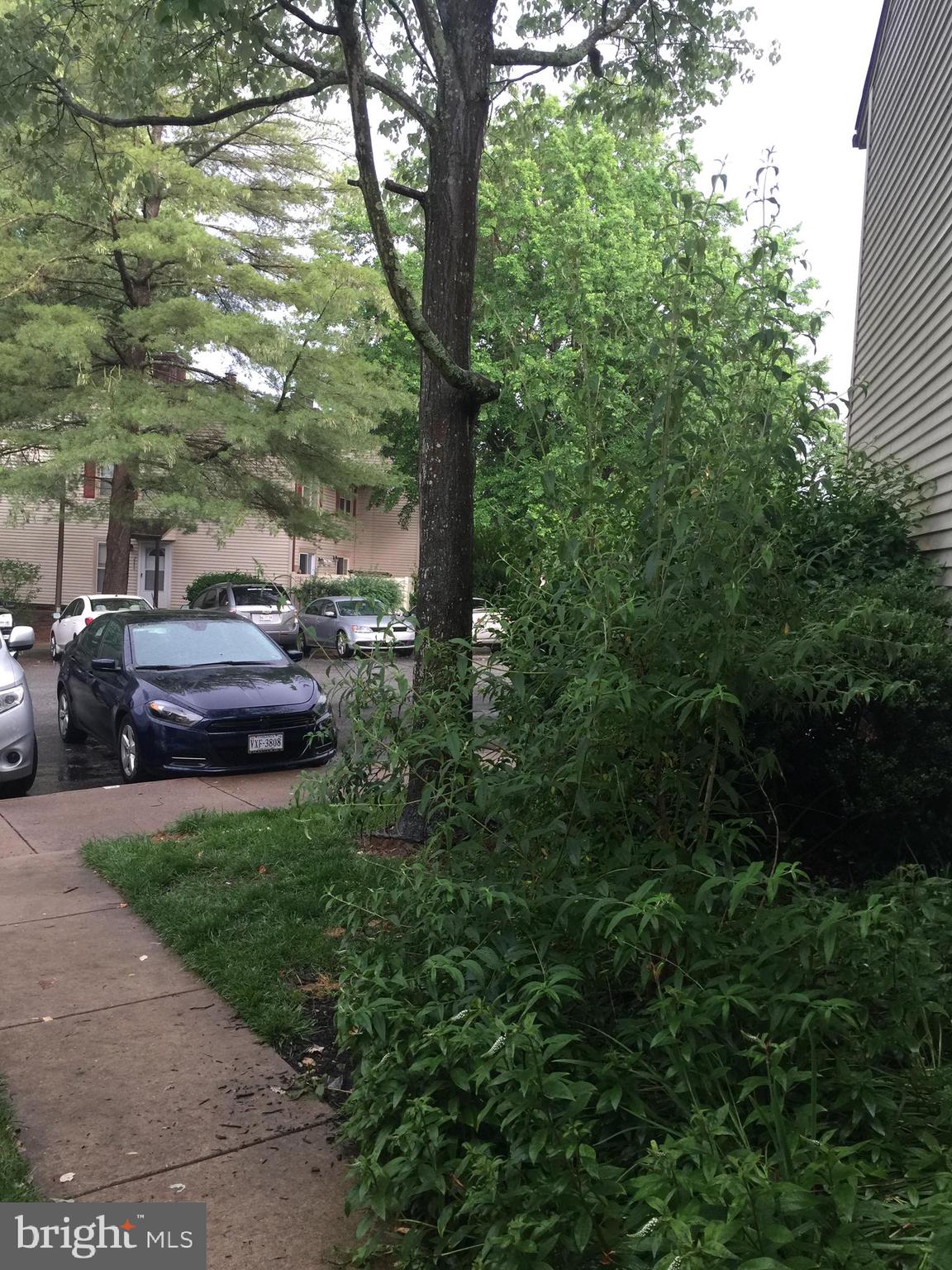 LAKE RIDGE - Residential Lease
