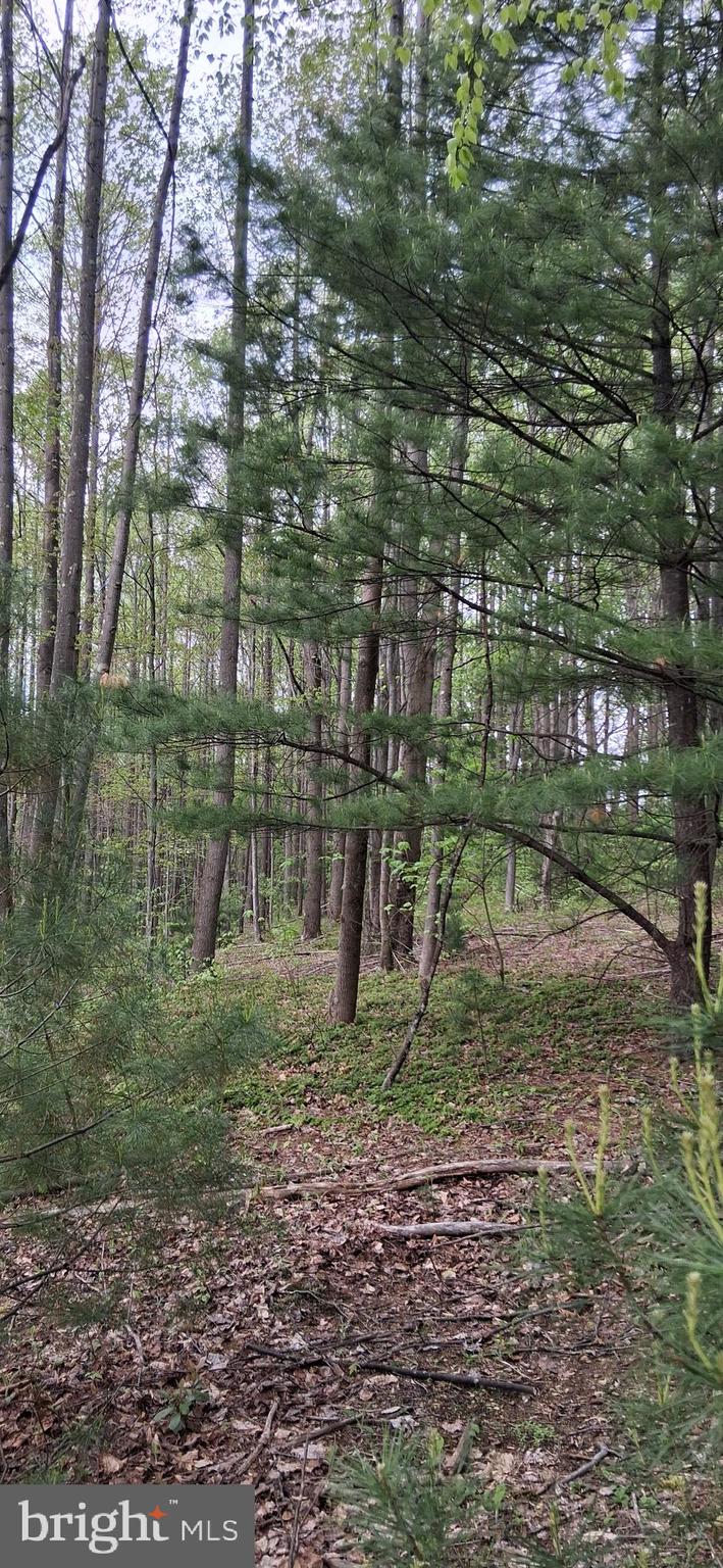 Welcome to Teaberry Rd. Bedford, PA! 4 acres waiting for your new dream home. 50 feet of road frontage for access to the property.  Close to many amenities. Historical Downtown Bedford, PA.  Shawnee State Park.  I-99, I-76, I-70, Rt. 30 are 30 minuets or within 30 minuets of the property.  Approximately 30 minuets to the Maryland line. Hunting areas are close by also. Surveyed. Take a look today!