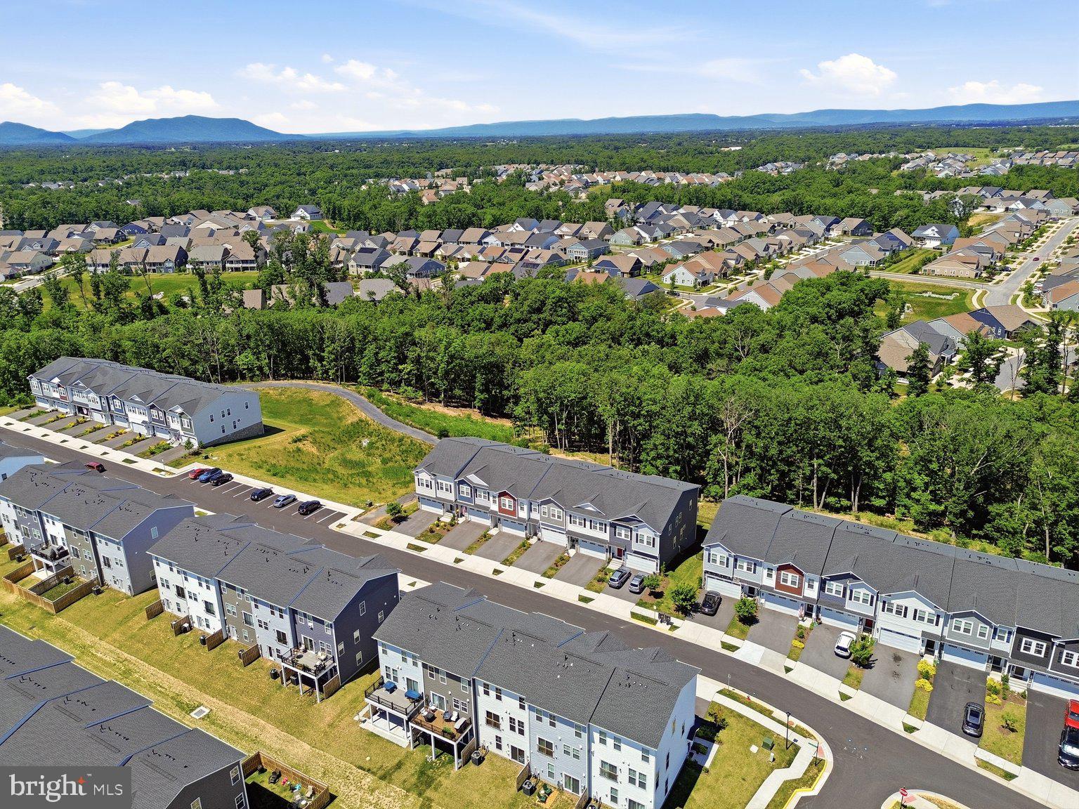 LAKE FREDERICK - Residential