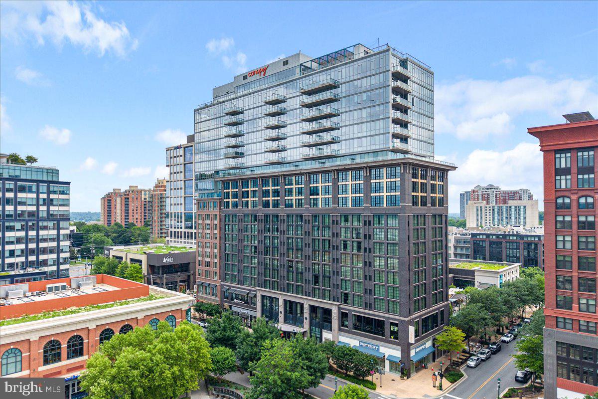 PIKE AND ROSE - Residential