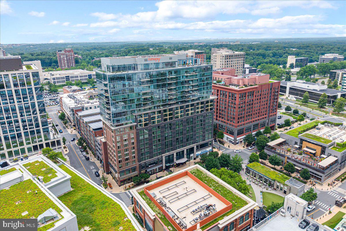 PIKE AND ROSE - Residential