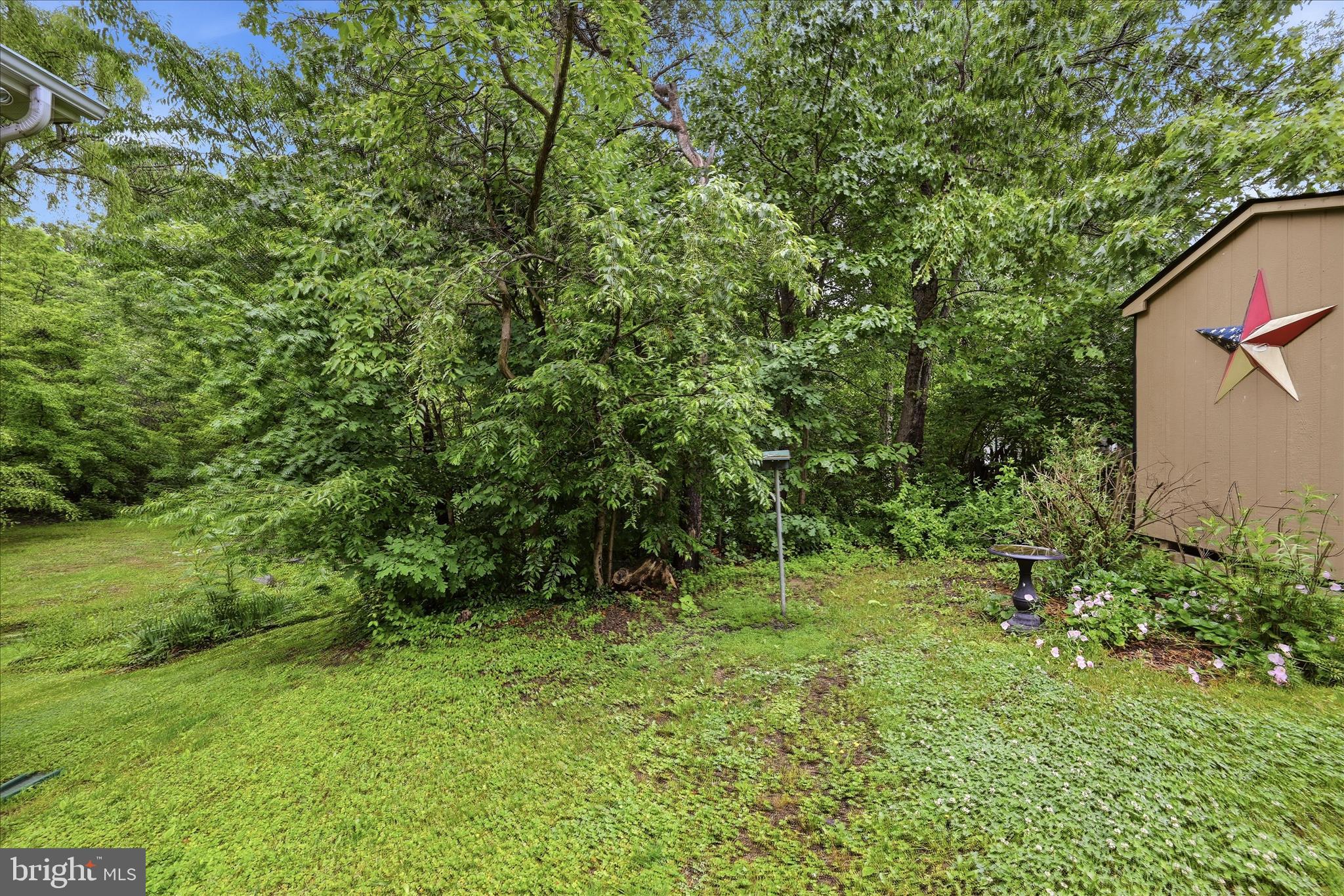CHAPEL HILL - Residential