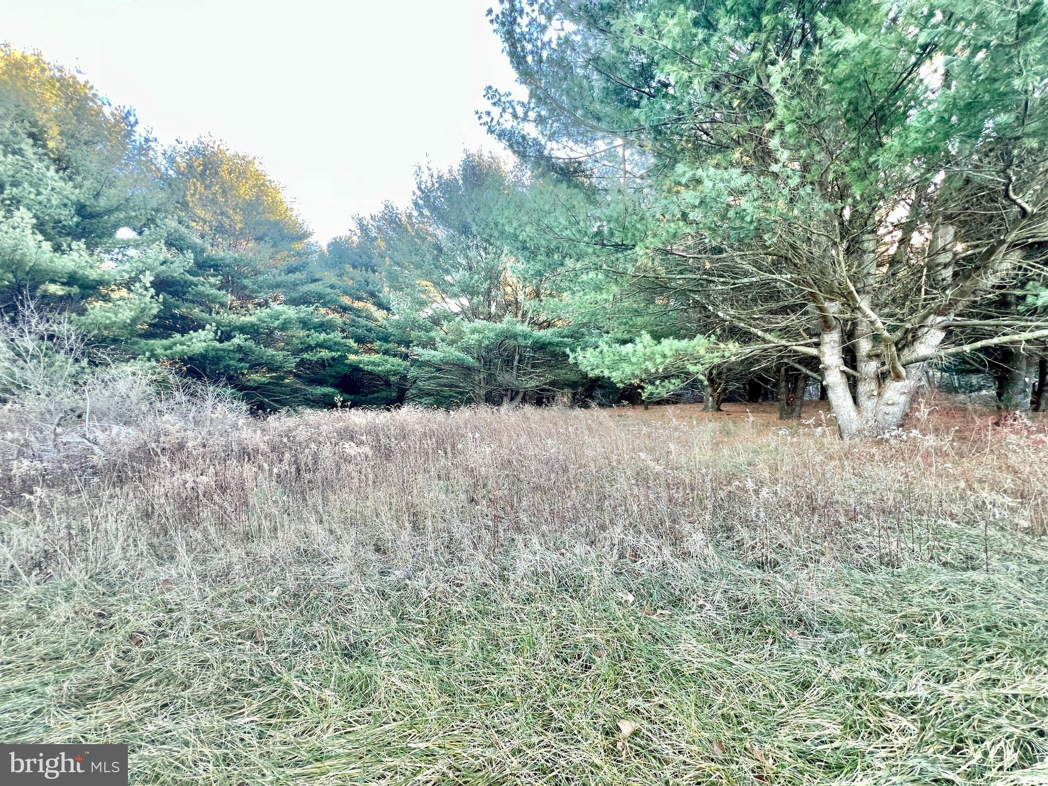 Nice wooded parcel of land consisting of 9.4+/- acres. Would make a great location to build a getaway or full time residence. Located just a few minutes from PA State Game Lands # 65. Property has not been perc tested.