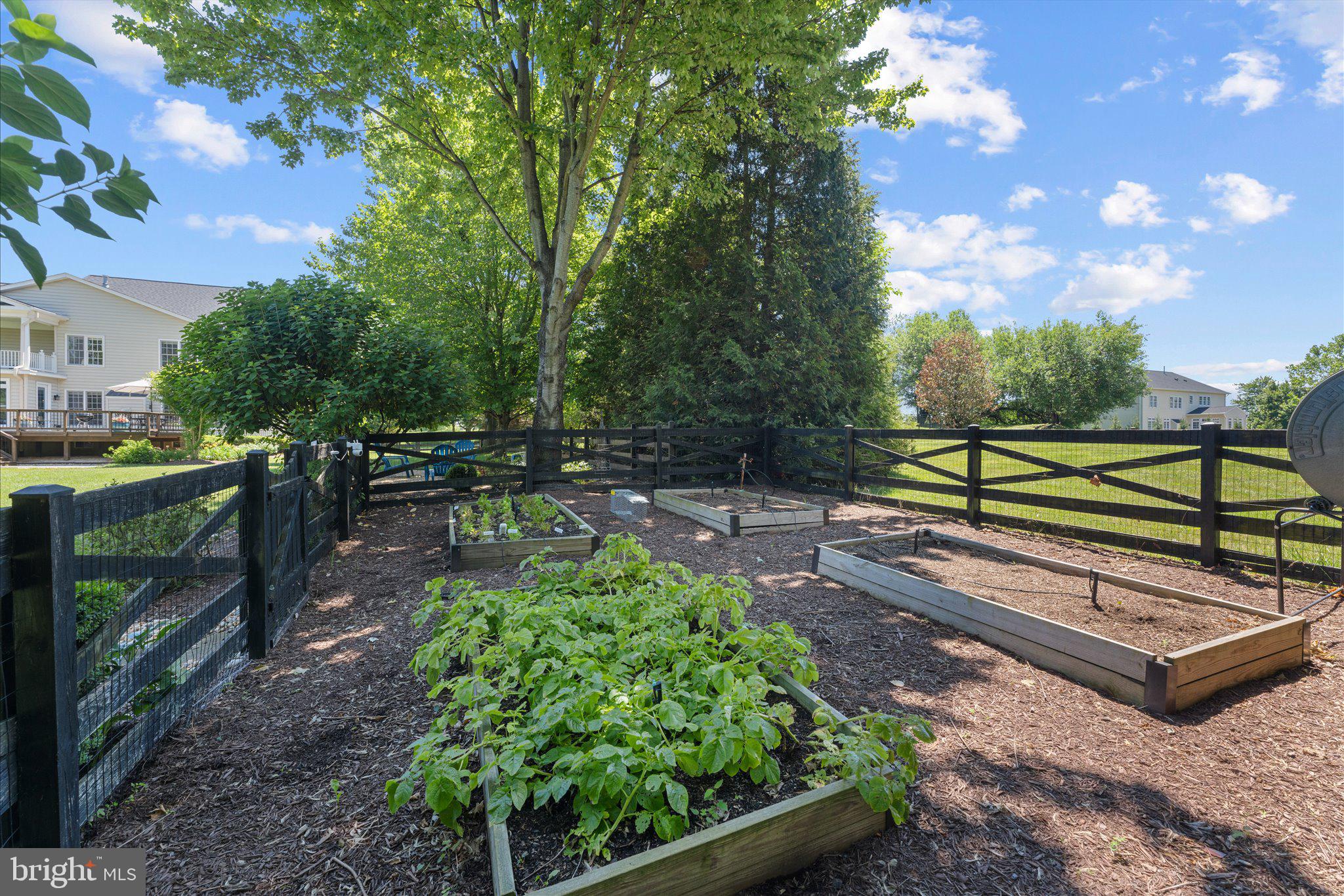 CHESTNUT HILLS - Residential
