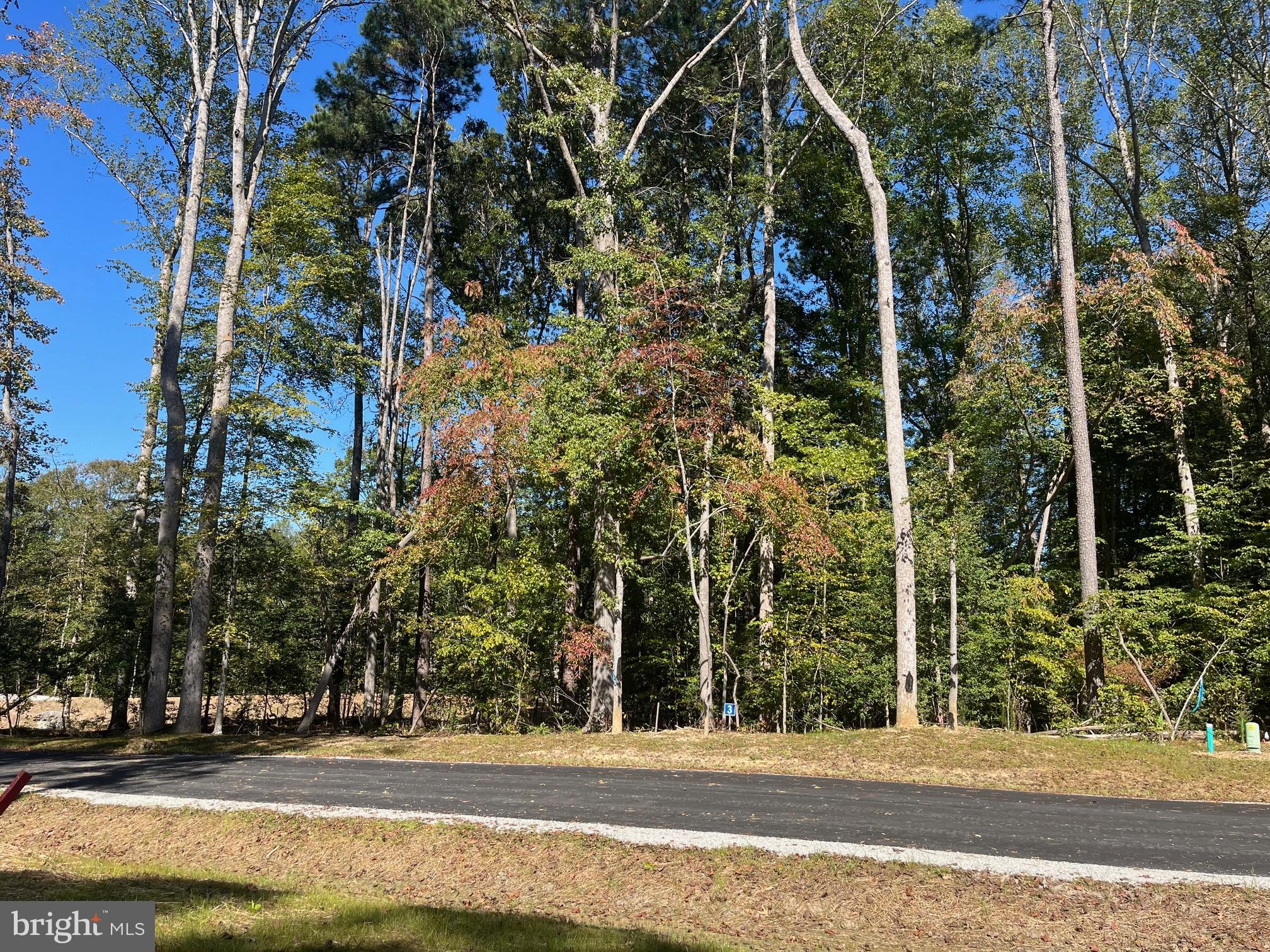 Welcome to Ridgewood Estates!! Tucked away and nestled in the heart of Williamsburg, VA. This beautiful subdivision is minutes from Colonial Williamsburg and everything Williamsburg has to offer. Kimberly Builders has beautiful lots ranging from .49 acres to 1.89 acres for your selection. Reserve your spot now with only 7 lots left in this brand new 9 lot custom home subdivision. No HOA, Private individual deep wells, county sewer, mature hardwoods, gentle rolling lots, no future development adjacent to property, no shrink/swell soil, space for pool and/or detached garage. Ready to build and need a plan? With over 250 previously custom built homes, you may like one of our existing plans. If not, no problem. We include plan design with no cost to you.