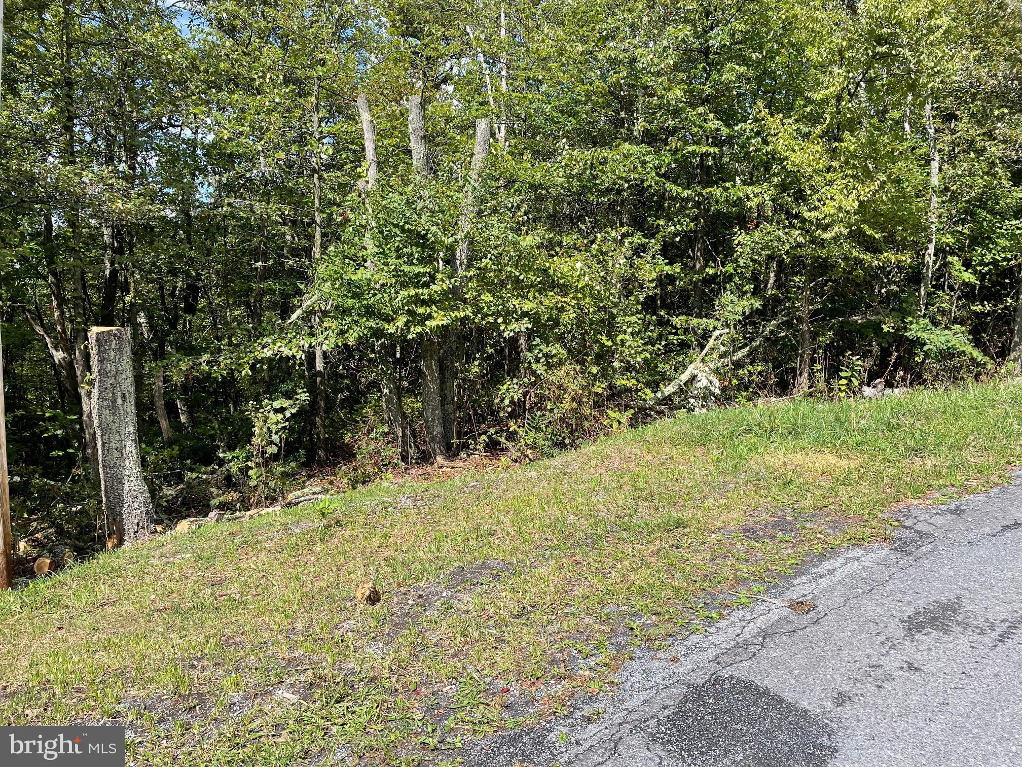 Tired of the bustle of city life? Visit Shawneeland in northwestern Frederick County, Virginia. Visit for a day and stay for a lifetime.  This mountaintop lot on the western slope is just the place to build a home.  Enjoy Shawneeland's amenities: a spring-fed lake perfect for swimming and fishing, a playground for the children, and hiking trails for the entire family.
Love the country but want to be close to basic services? Winchester, VA, is just 12 miles away.  You'll find a regional medical center, lots of shopping, restaurants, breweries, wineries, and museums, as well as walking and biking trails. Winchester, a Tree City USA,  is home to the Shenandoah Apple Blossom festival, a crowd-producing week-long event celebrating its 98th year in May 2025.