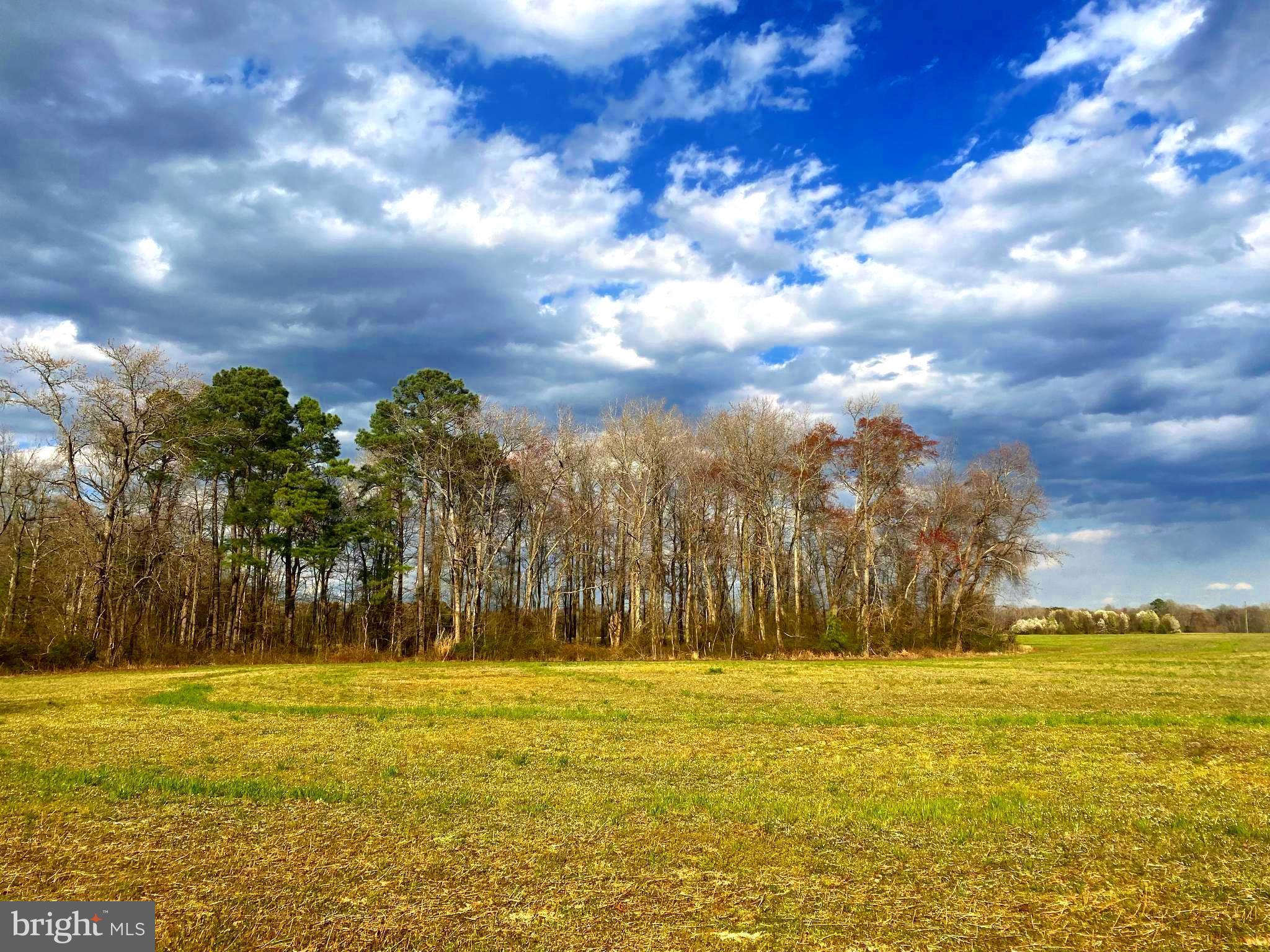Are you looking for serenity? Look no further! This expansive lot is centrally located in the North Dorchester area - Warwick School District. If you want to live in a place surrounded by farm field views, this is it. A buffered tree line provides additional privacy at the back of this lot. Close to the infamous Suicide Bridge Restaurant. Just a short drive to public boat ramps and river access for watersports. No HOA, covenants or restrictions.