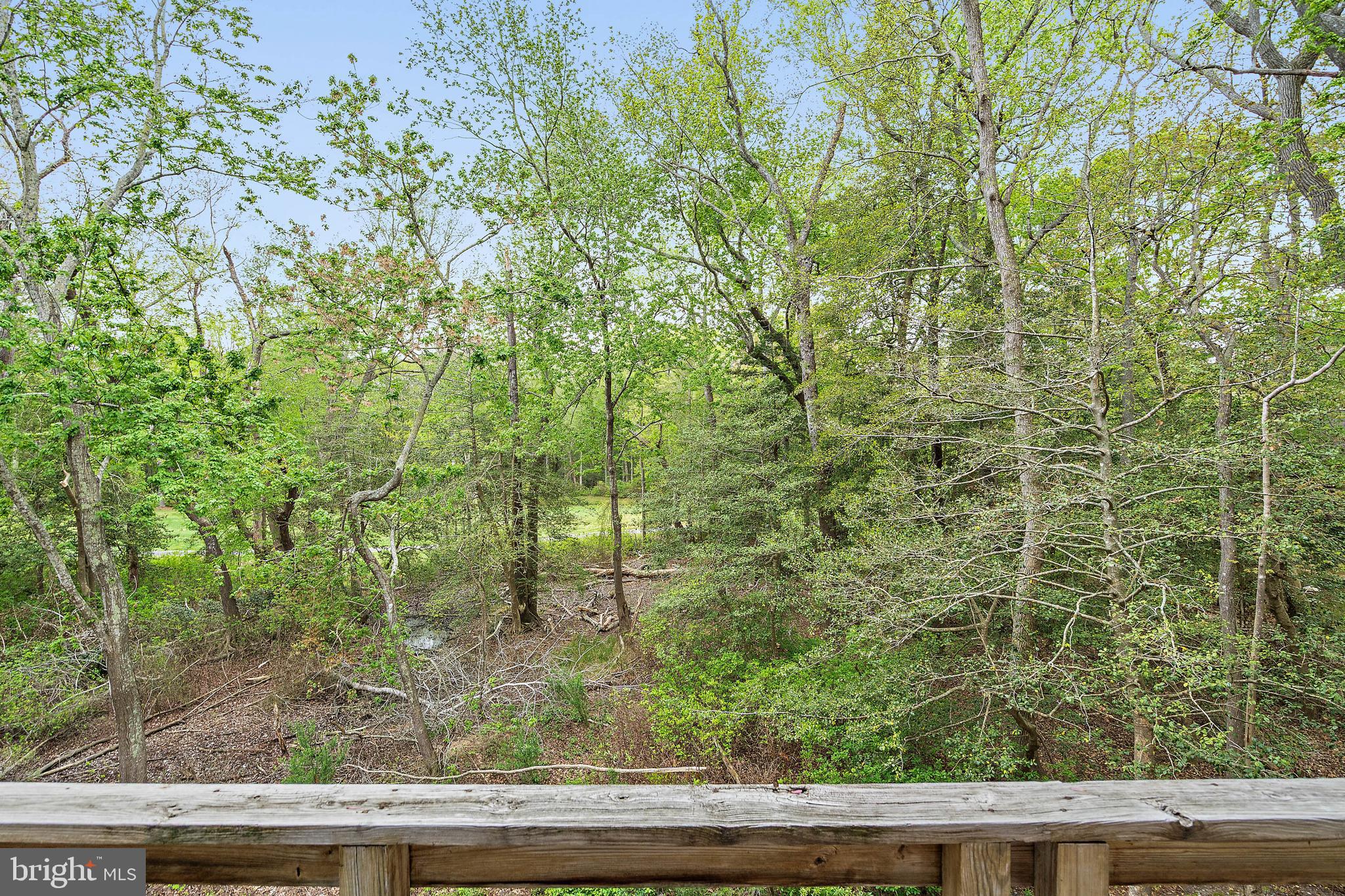 OCEAN PINES - SEABRIGHT - Residential