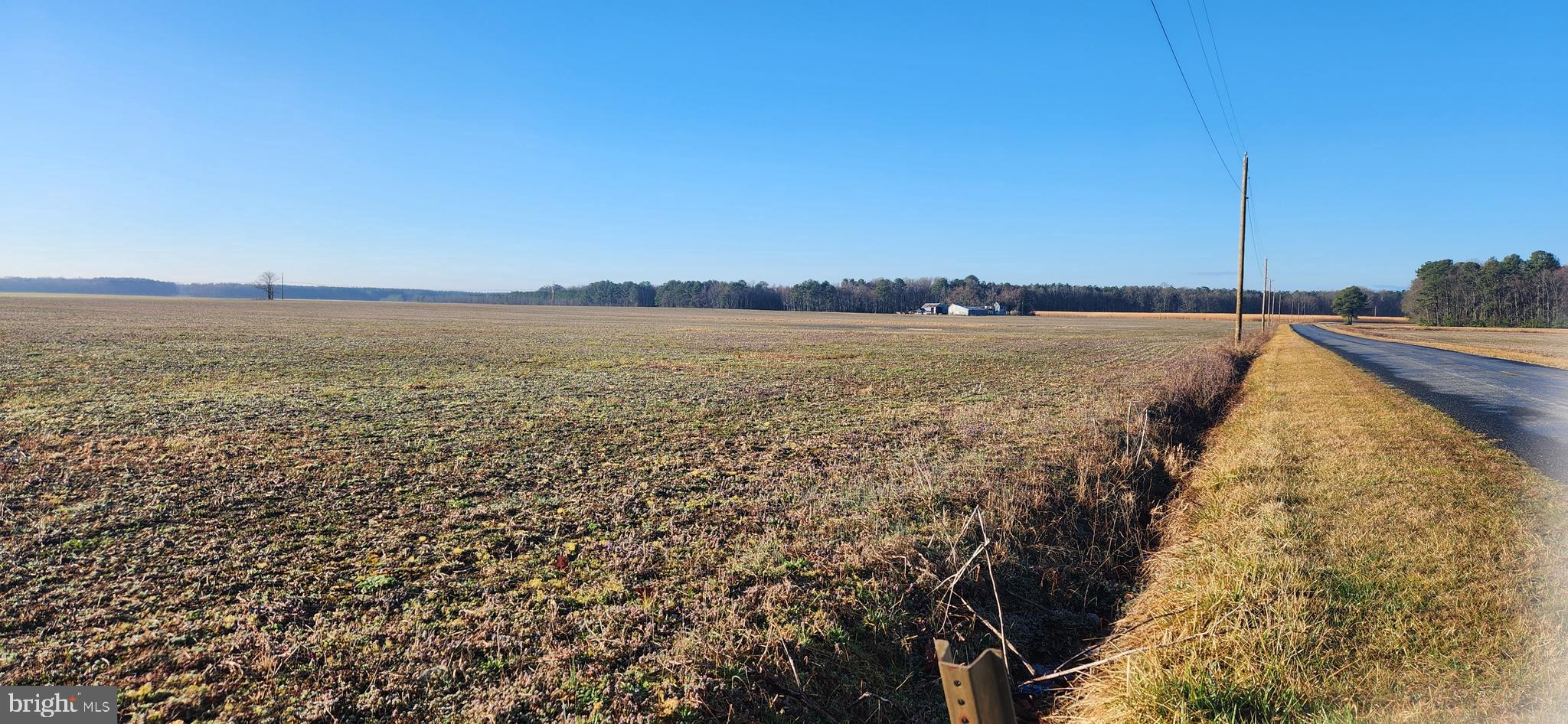 17 AC of Land. Currently being tilled by Farmer Tenant.    This land has never been perked. Lots of Potential