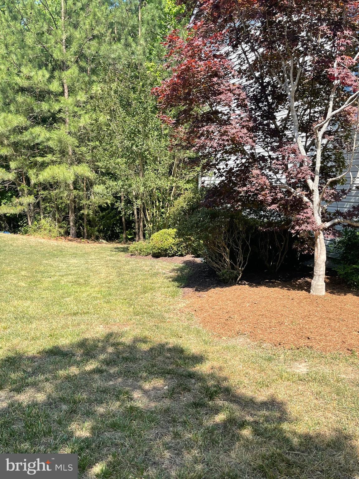 DAHLIA PARK OF WILDEWOOD - Residential