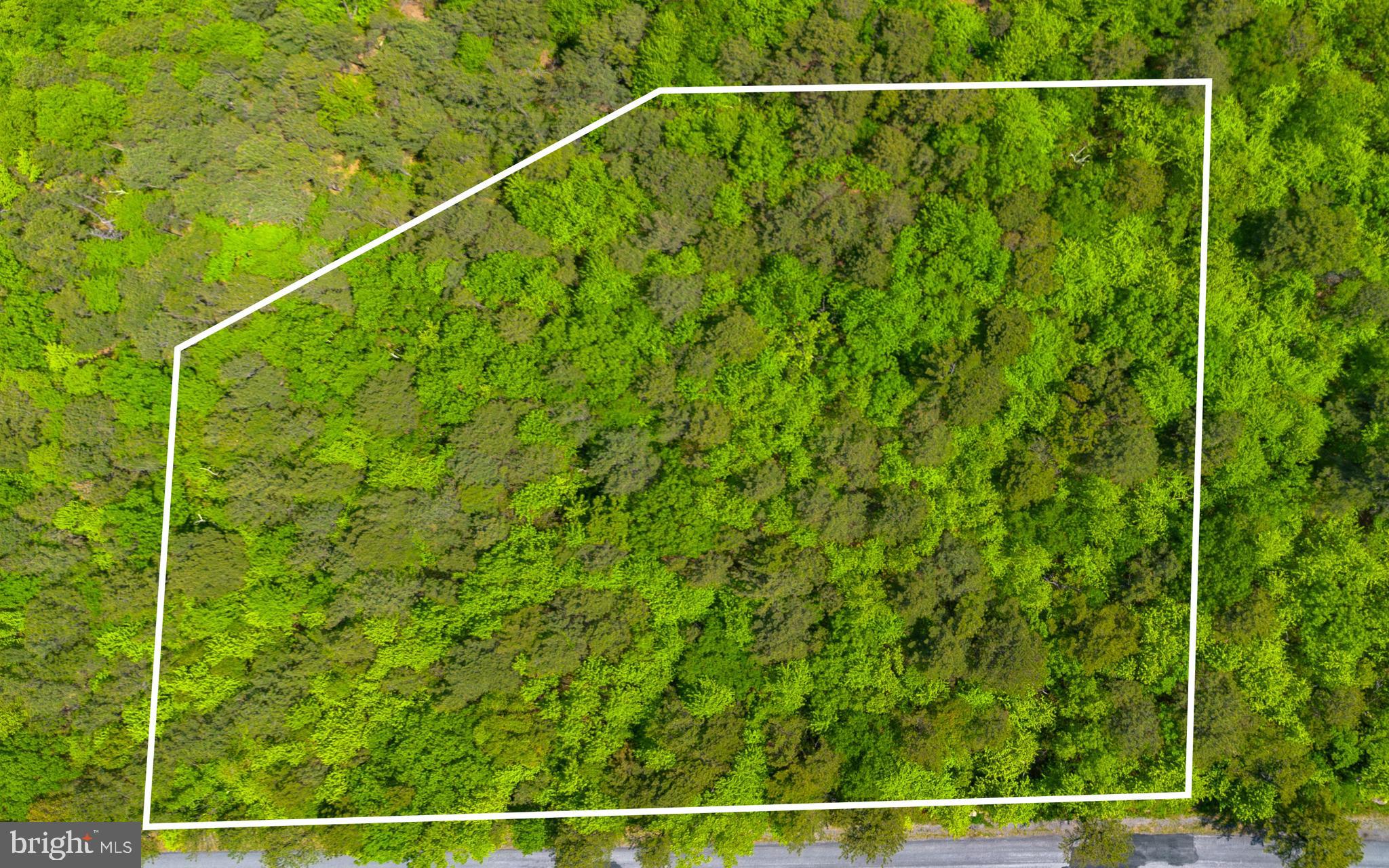 Rare Double Lot – Nearly One Acre of Prime Ridge Top Privacy in Shawneeland! This exceptional, nearly one-acre, double lot offers a perfect blend of privacy and potential - and is ready for you to build the home of your dreams! Nestled atop the ridge in Shawneeland, this wooded parcel has been perc’d and approved for a three-bedroom septic system, with a certification letter on file with the Department of Health (see attached documents). Enjoy peaceful, northwest-facing night skies perfect for stargazing, while still being just a convenient 30-minute drive from downtown Winchester. Whether you’re envisioning a quiet weekend retreat or a gorgeous full-time residence, this unique property provides the ideal canvas for your vision. Schedule your showing today and start imagining the possibilities!