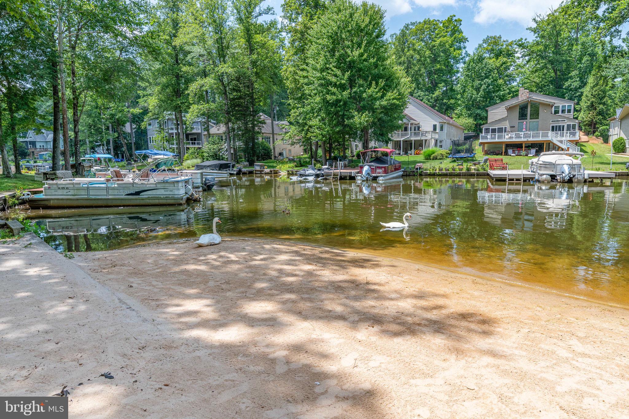 LAKE OF THE WOODS - Residential