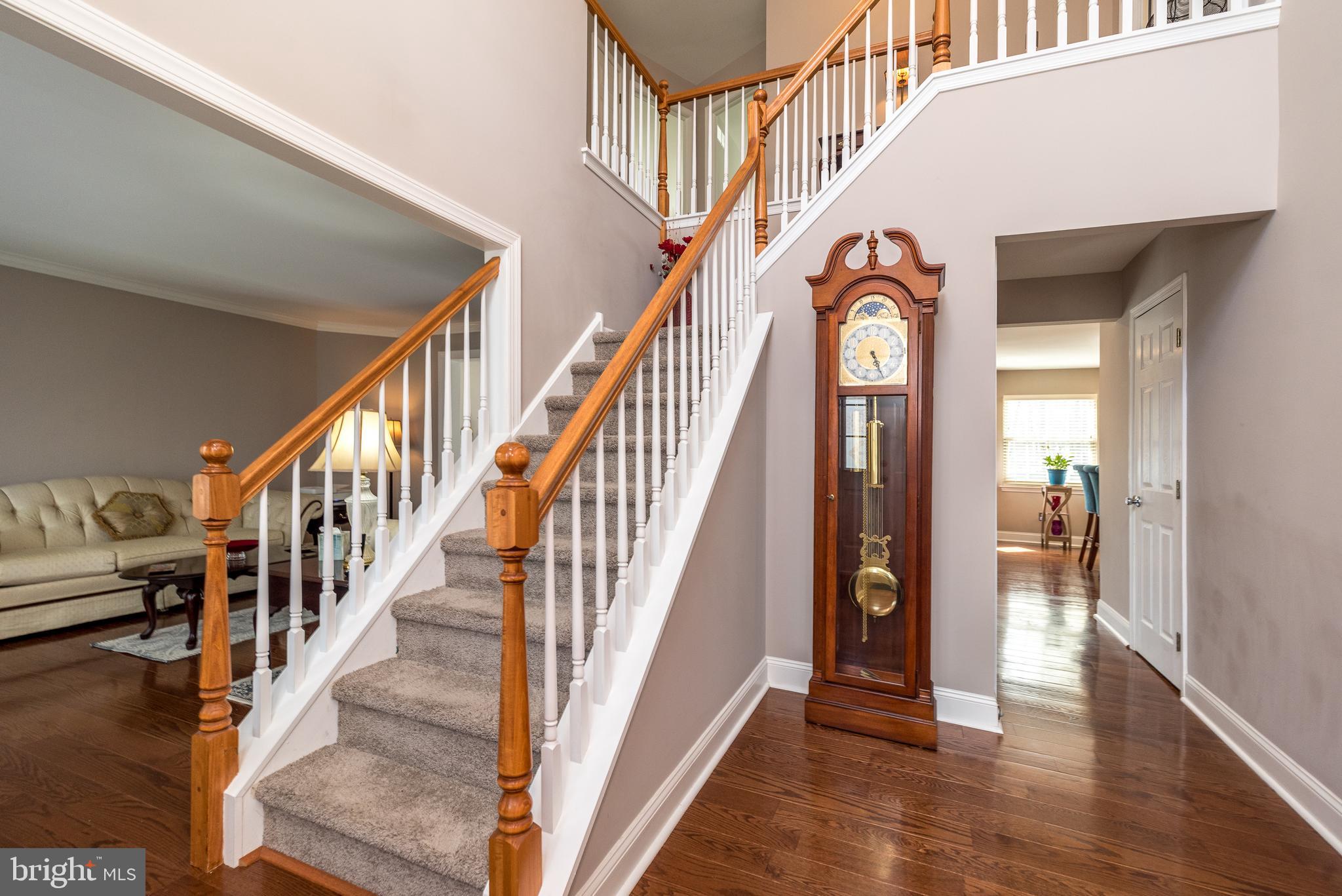 MONTGOMERY HOLLOW - Residential
