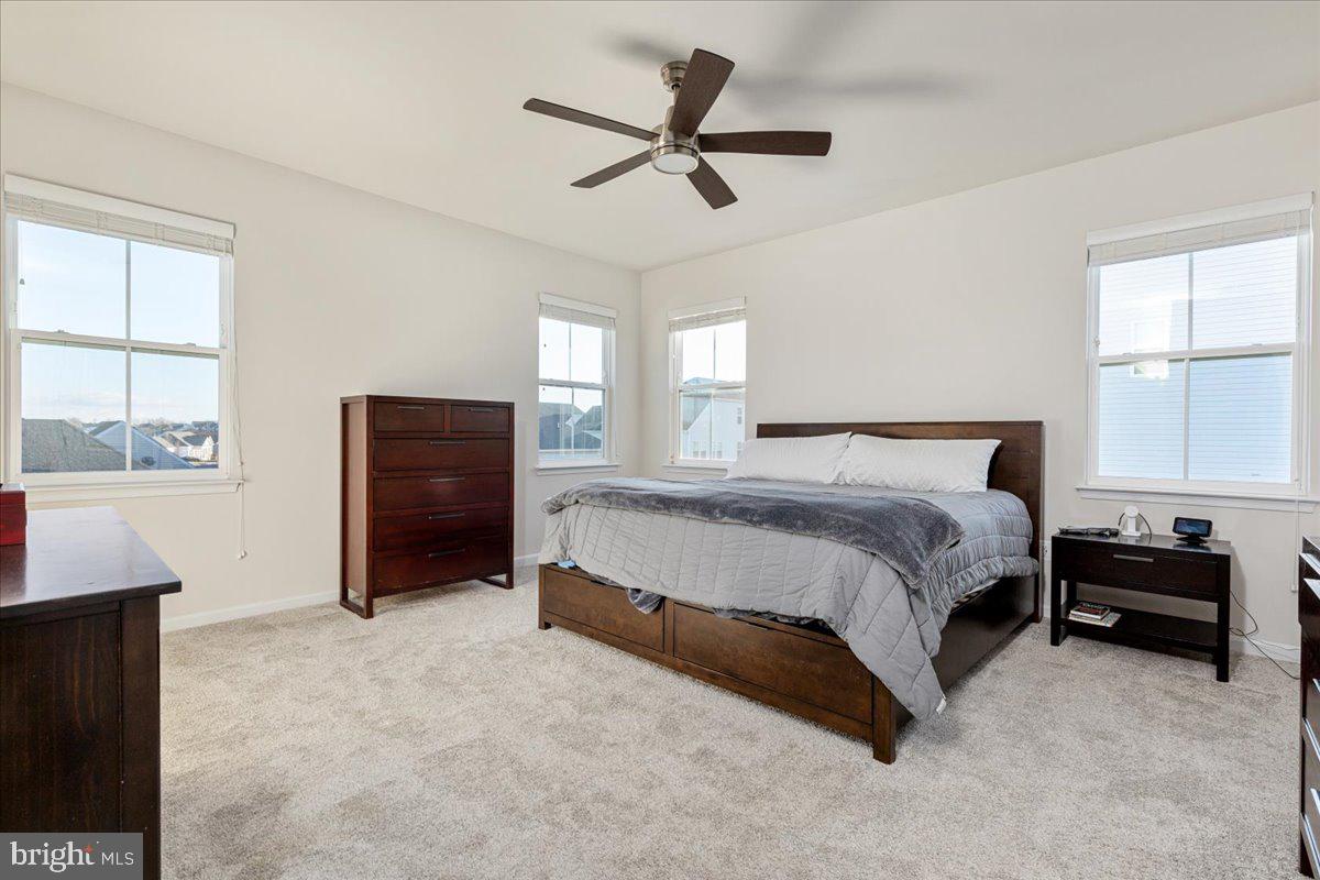 NORBORNE GLEBE - Residential