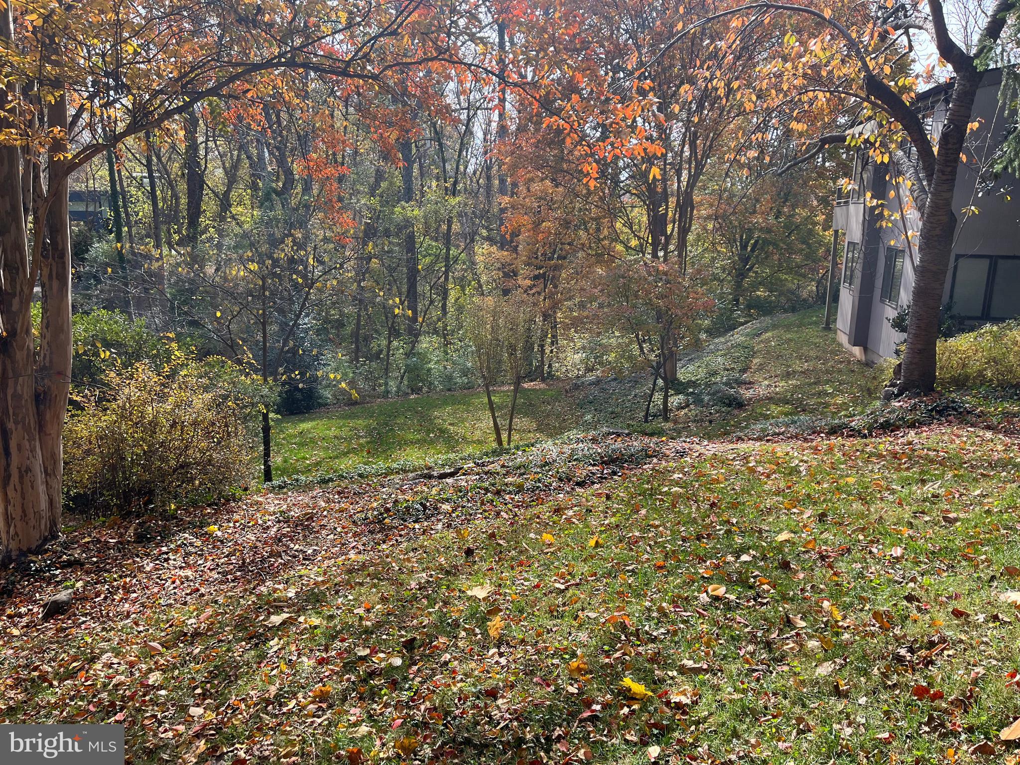 TULIP HILL - Residential