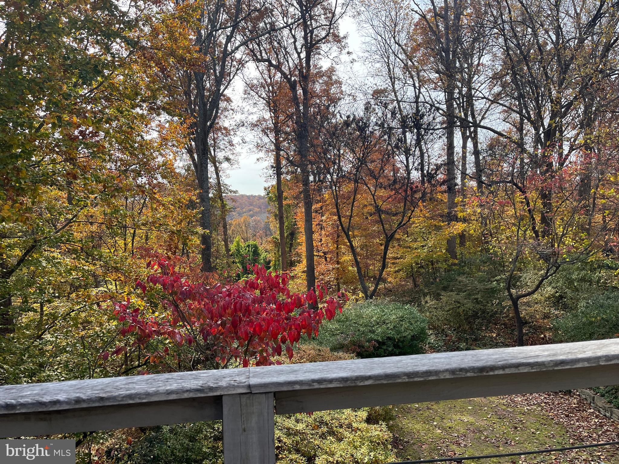 TULIP HILL - Residential