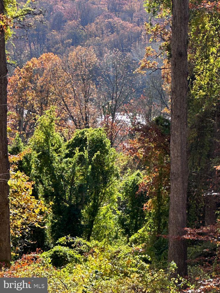TULIP HILL - Residential