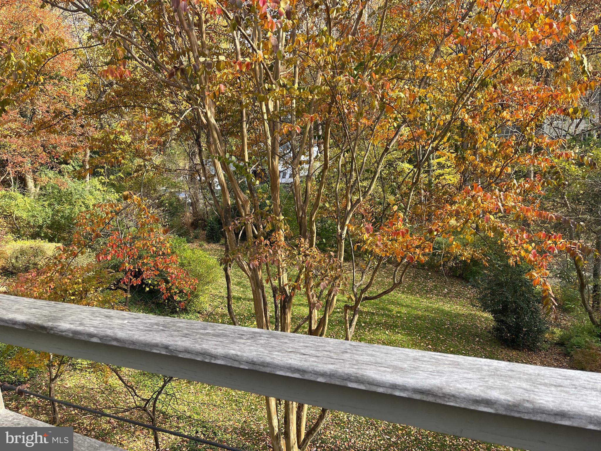 TULIP HILL - Residential