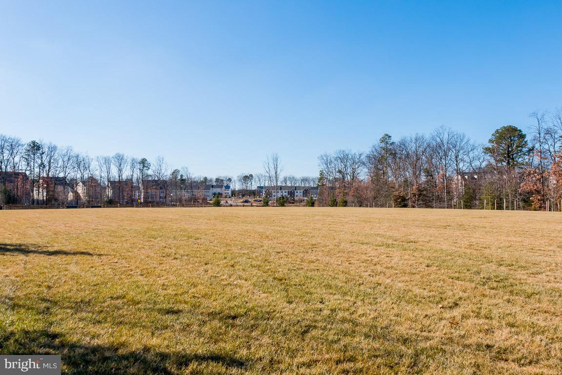 TANYARD SPRINGS - Residential Lease