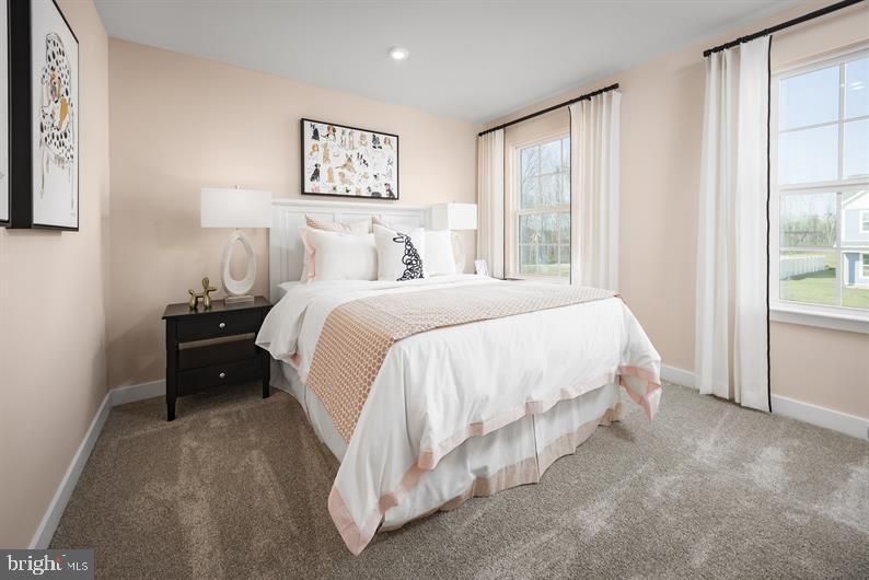 GREEN LANE MEADOWS - Residential