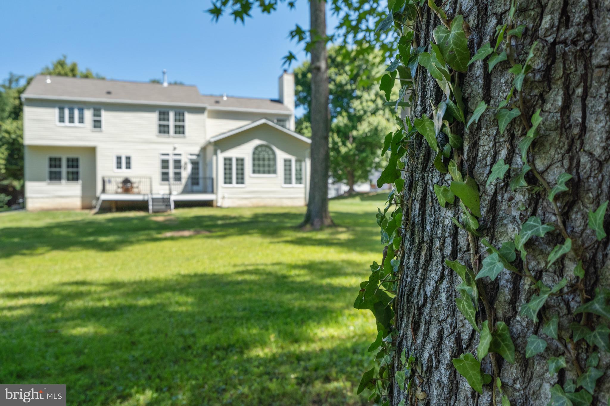 HUNTER ESTATES - Residential