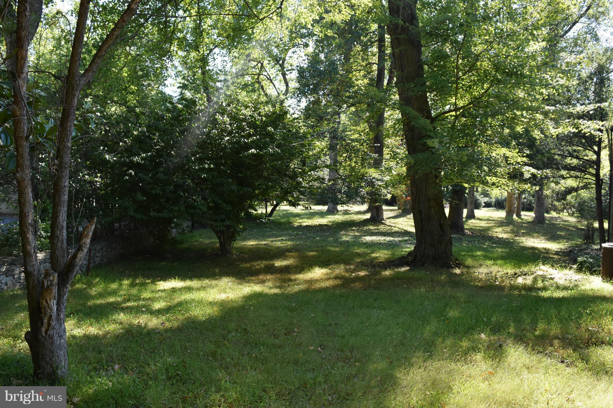 BURNING TREE VALLEY - Land