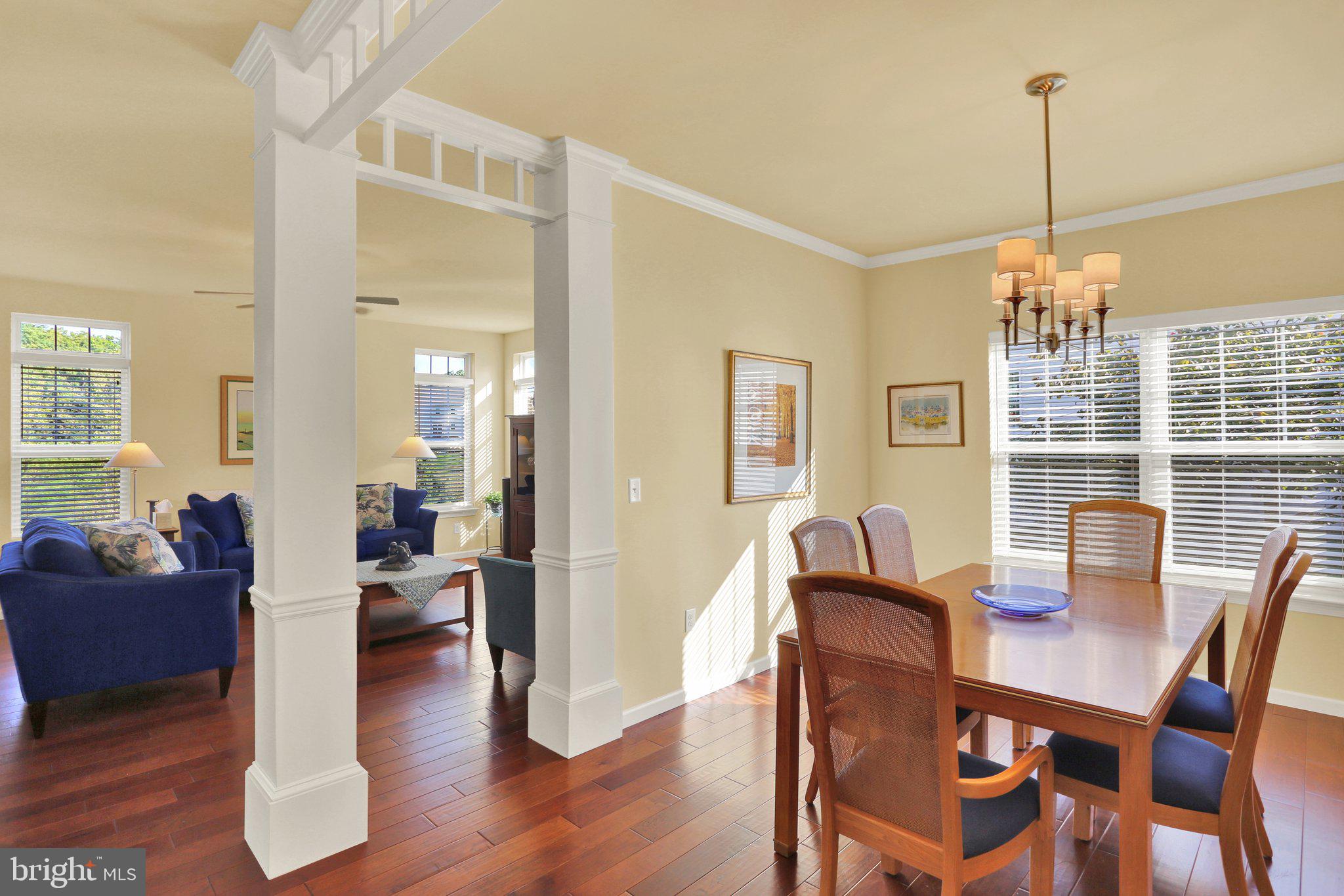 THE MEADOWS AT BACHMAN RUN - Residential
