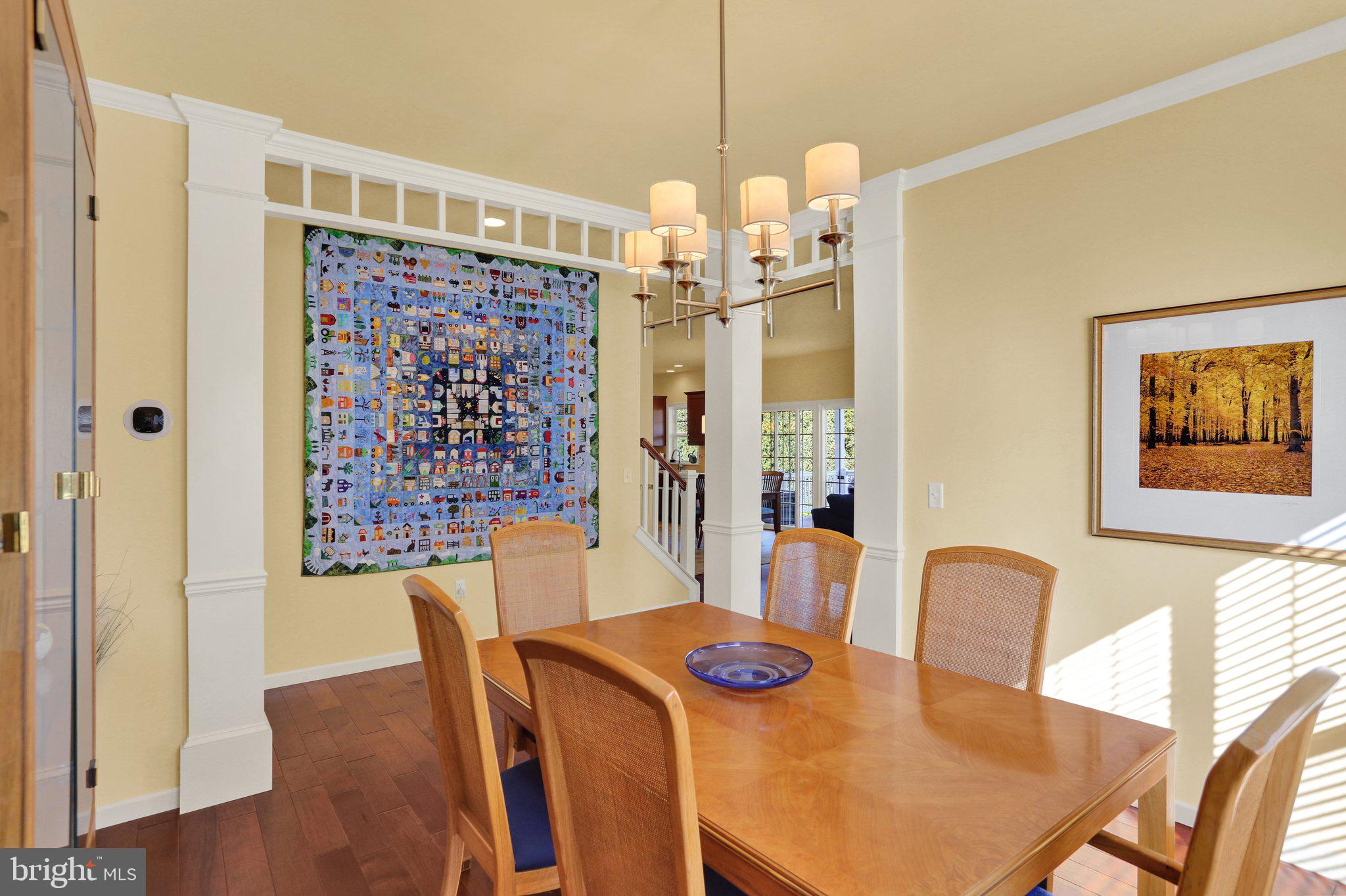 THE MEADOWS AT BACHMAN RUN - Residential