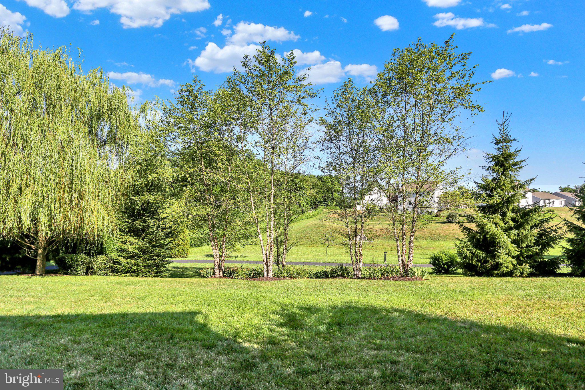 THE MEADOWS AT BACHMAN RUN - Residential