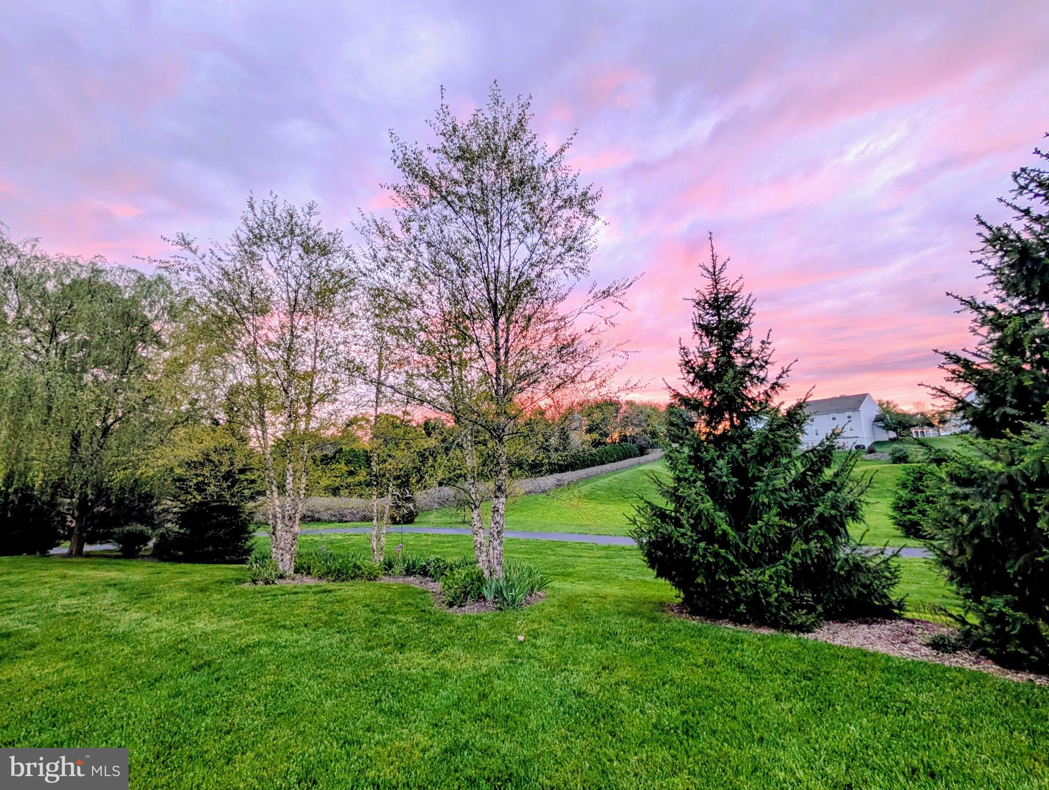 THE MEADOWS AT BACHMAN RUN - Residential