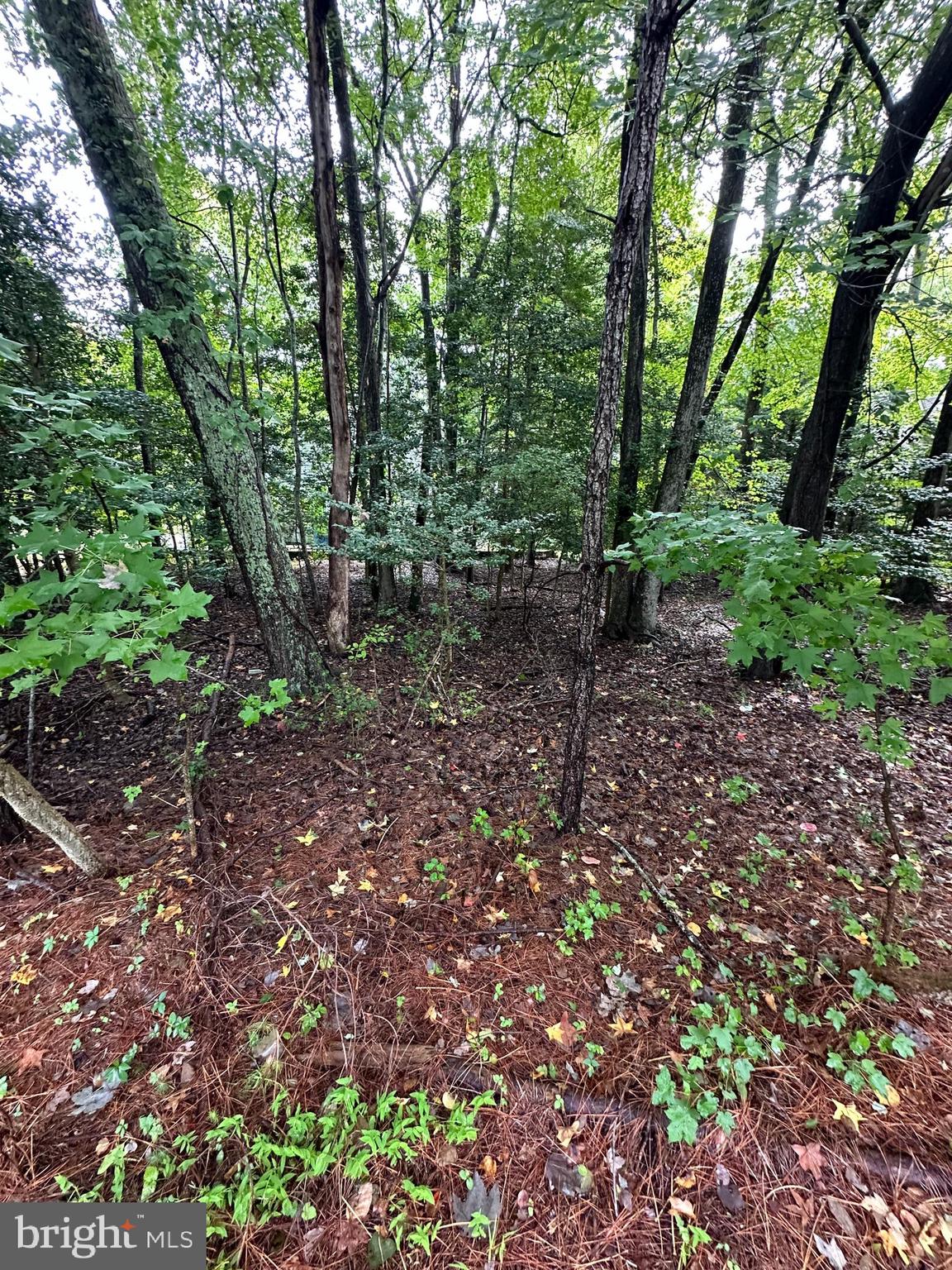 Beautiful, wooded lot with all the peace and tranquility that Whitetail Sanctuary provides. Almost 2500 sq ft of buildable area with plenty of green space surrounding the building envelope for privacy. Close to all the amenities Ocean Pines offers, including marinas, golf club, pools, Yacht Club, and Ocean Club facilities. Build that dream home you always wanted nestled in the woods and watch the wildlife out your windows or from your outdoor oasis.