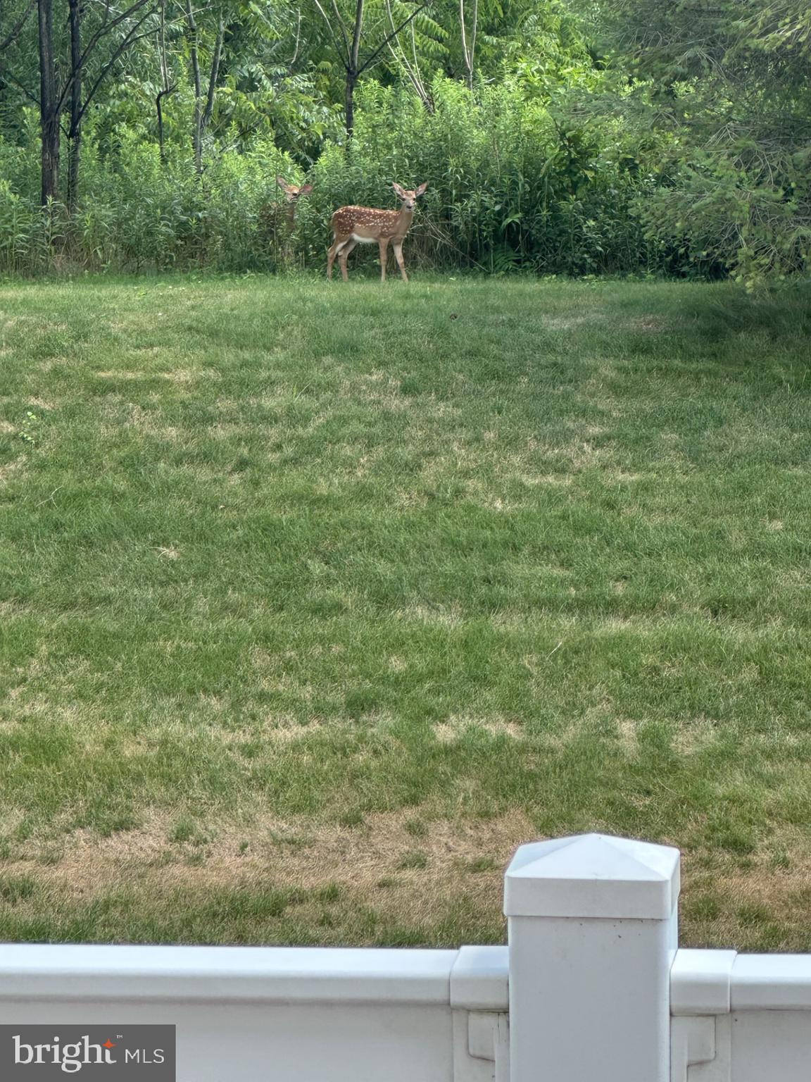 THE MEADOWS OF HERSHEY - Residential
