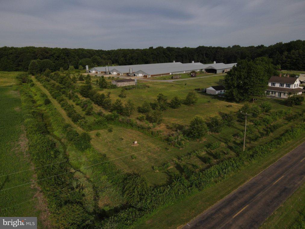 HENDERSON - Farm
