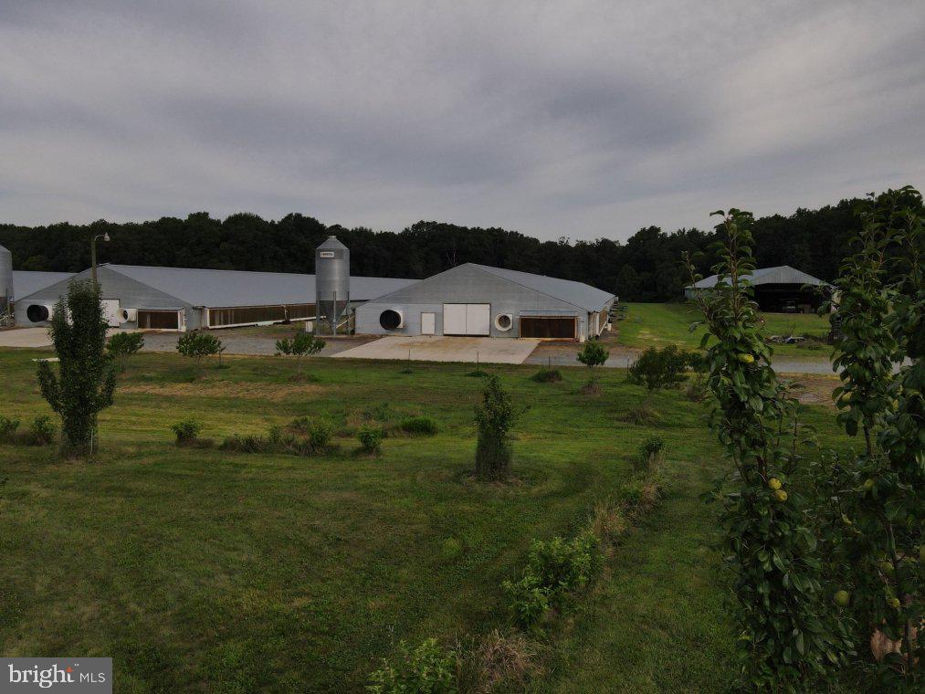 HENDERSON - Farm