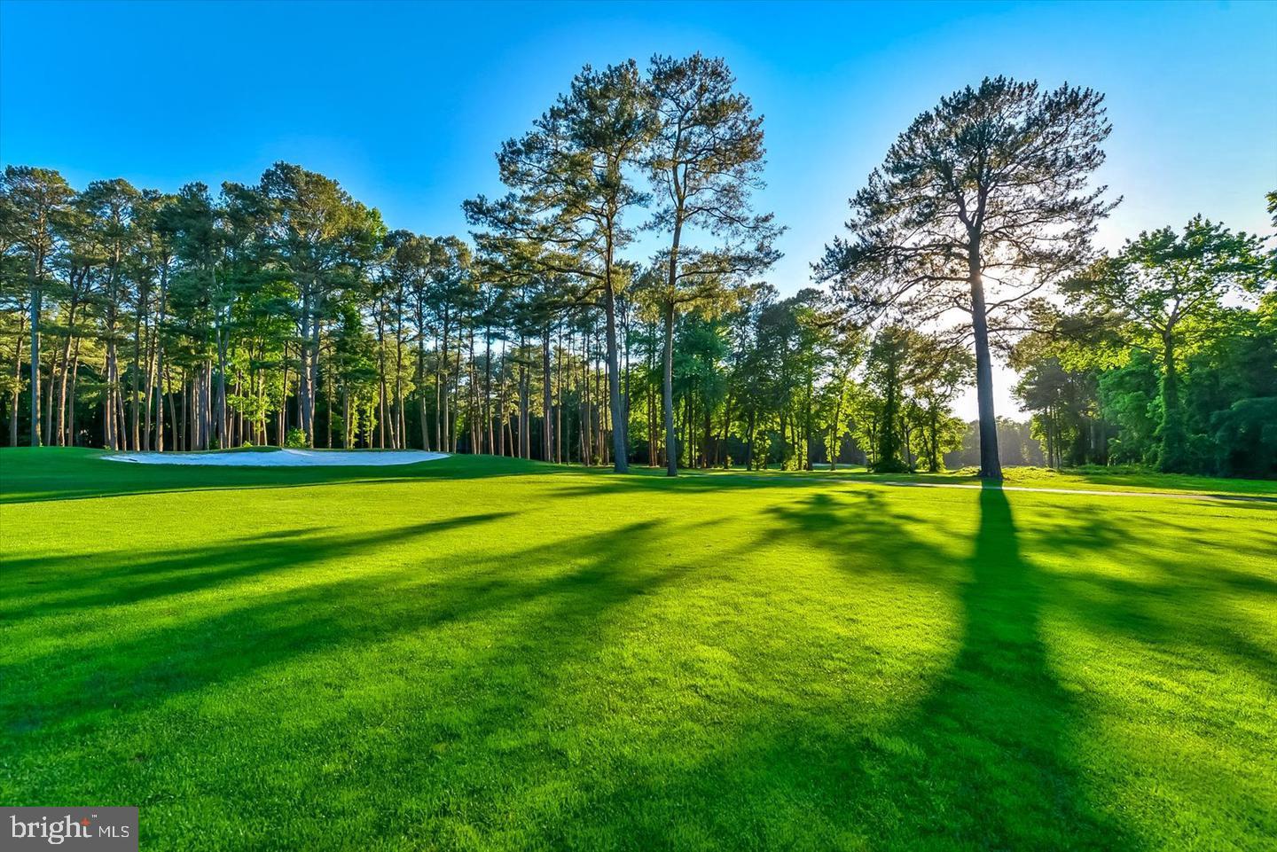 OCEAN PINES - THE PARKE - Residential