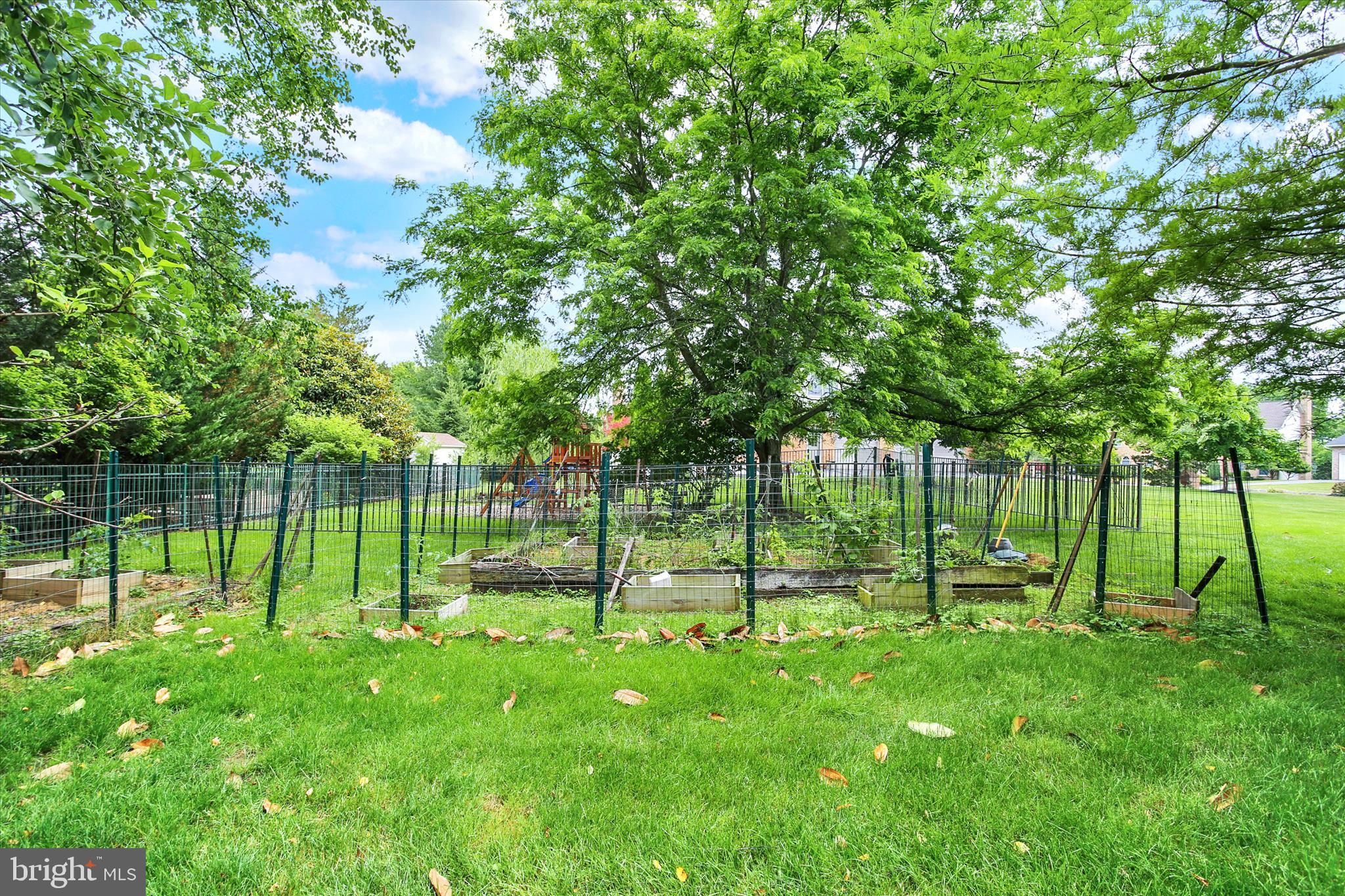 FOREST HILLS - Residential