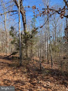 HICKORY CREEK ESTATES - Land