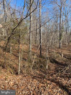 HICKORY CREEK ESTATES - Land