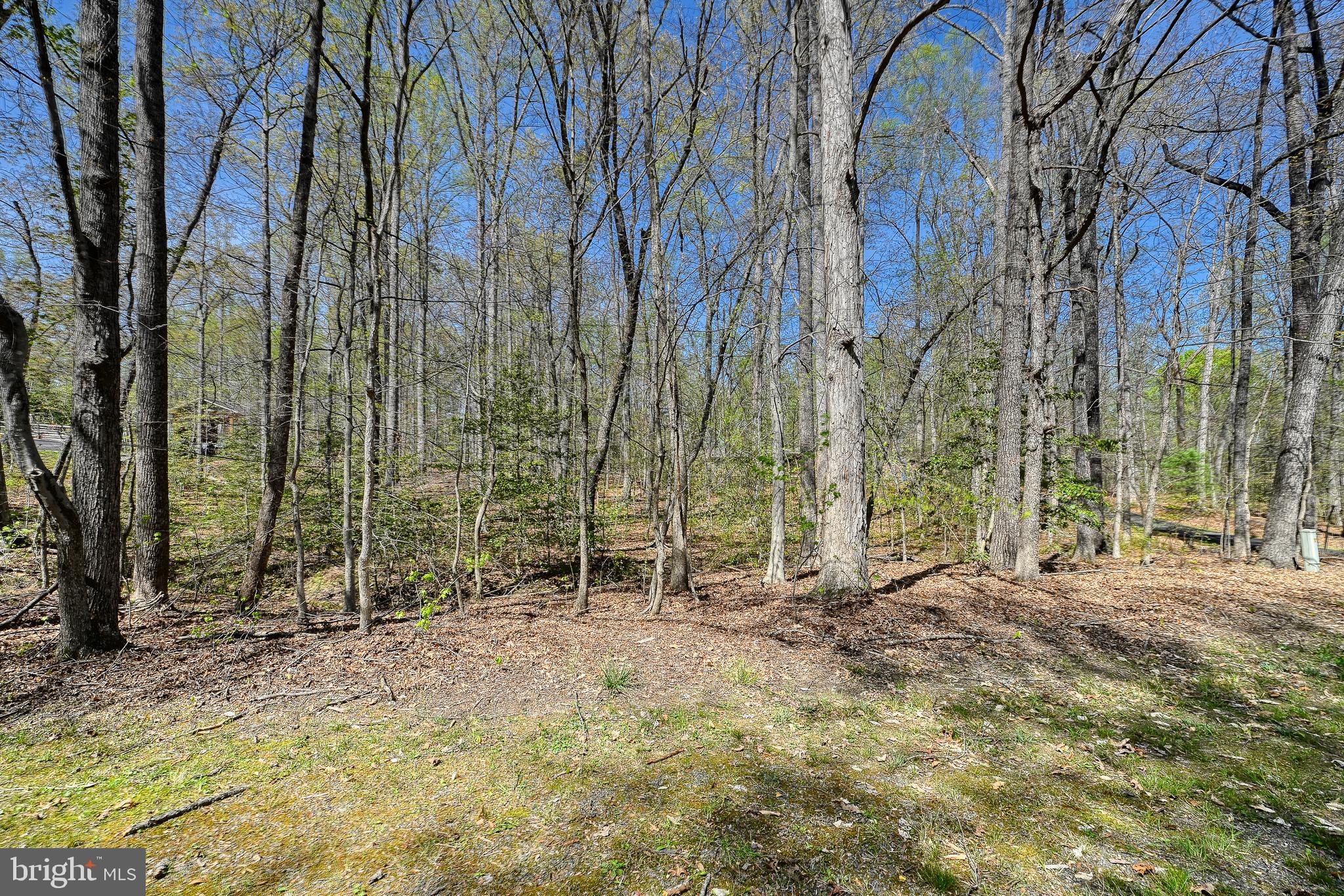 WINDWOOD COVES - Land