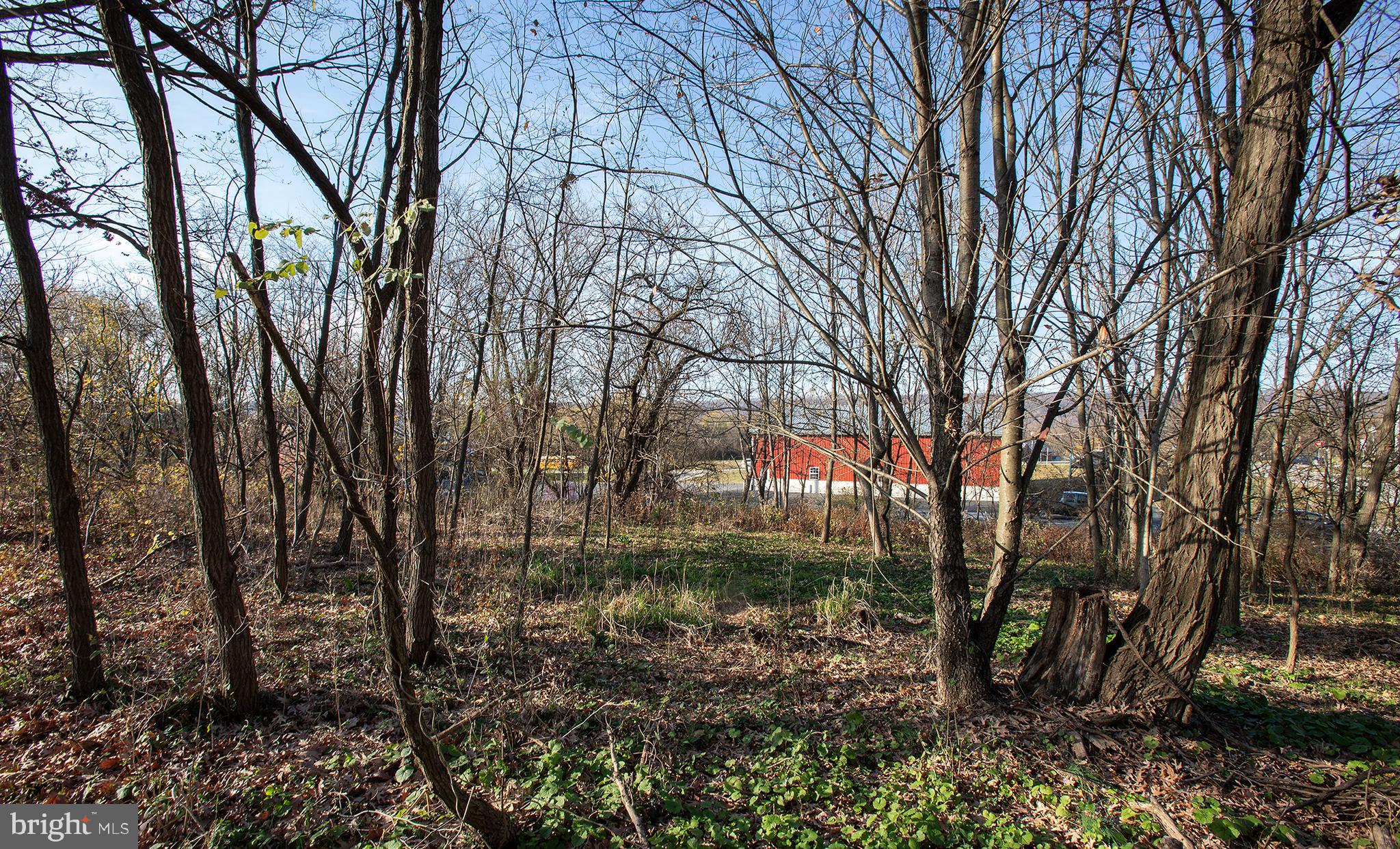 LOWER PAXTON TOWNSHIP - Land