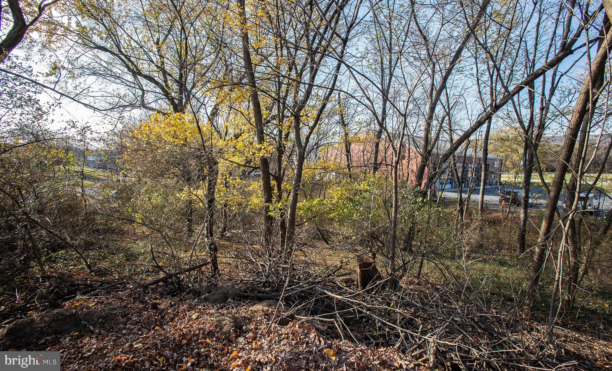LOWER PAXTON TOWNSHIP - Land