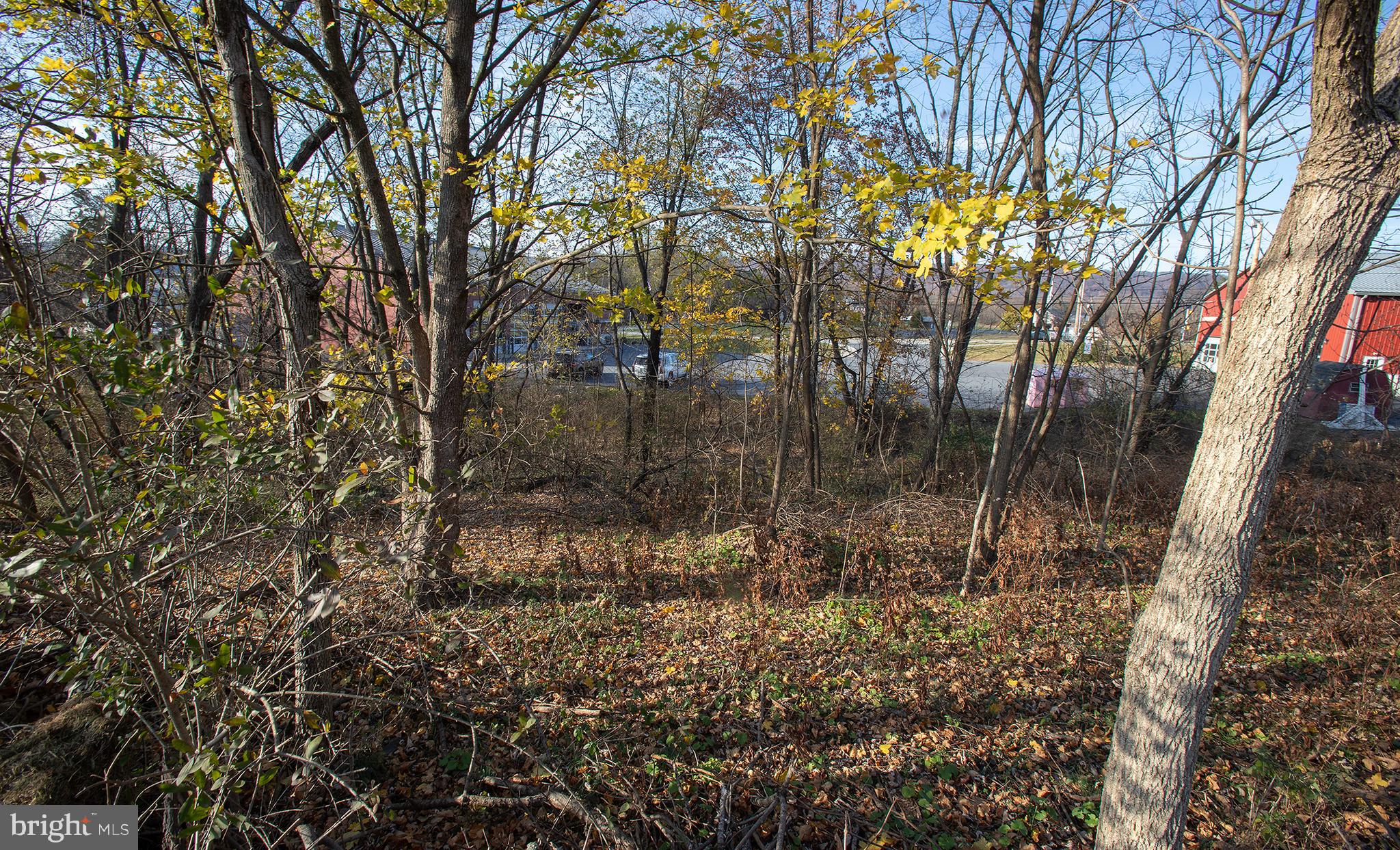 LOWER PAXTON TOWNSHIP - Land