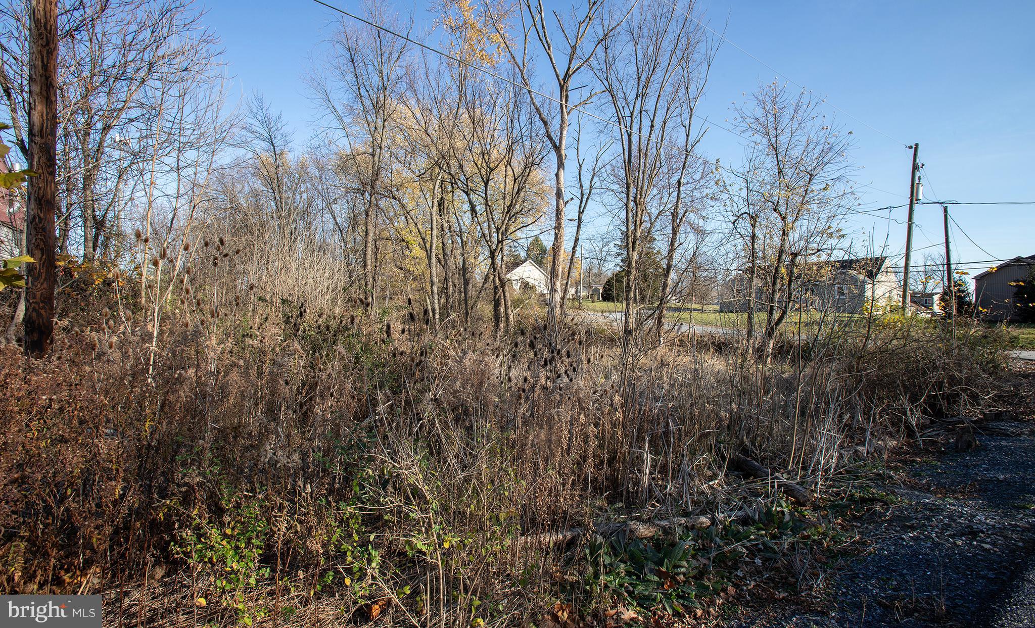 LOWER PAXTON TOWNSHIP - Land