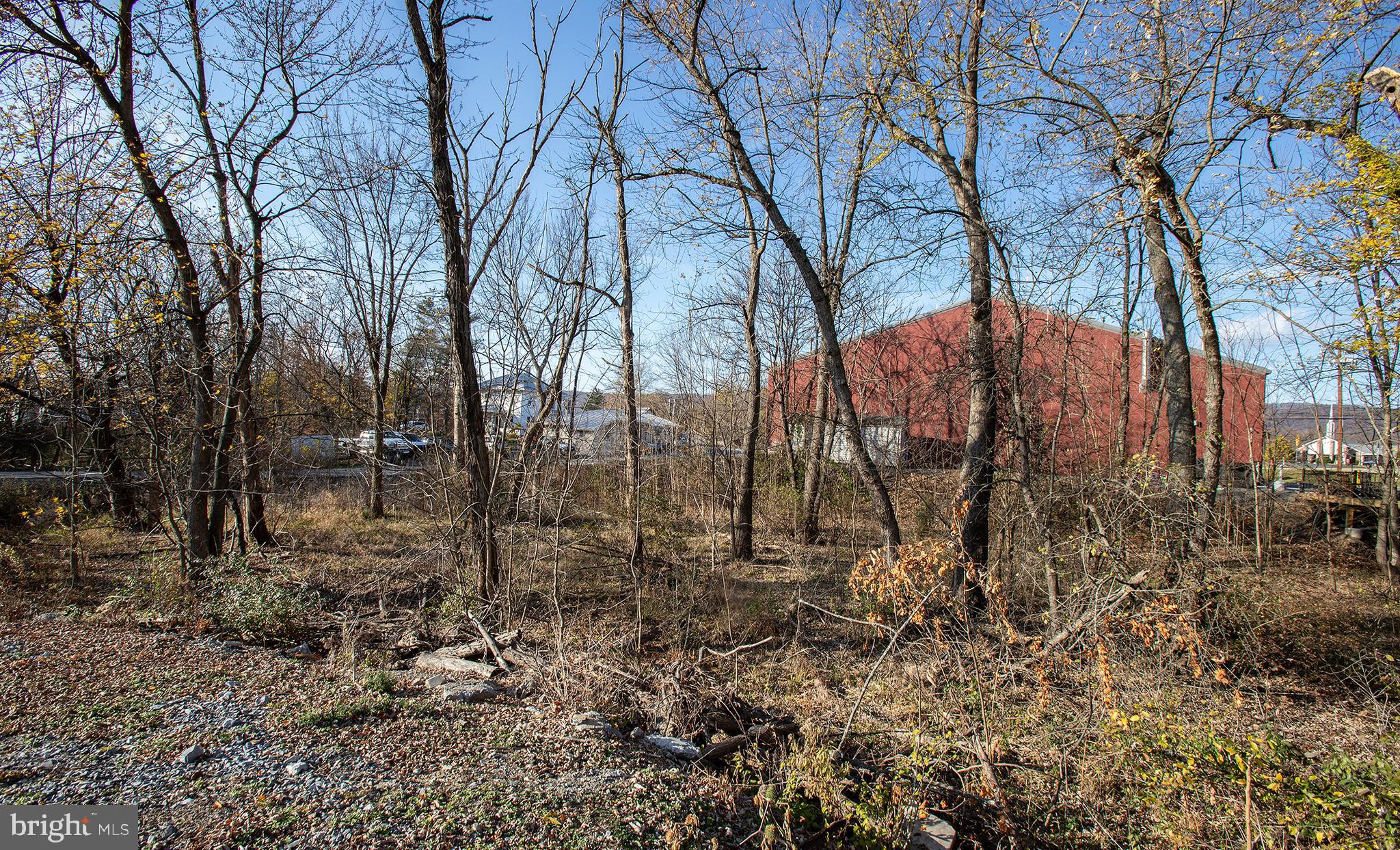 LOWER PAXTON TOWNSHIP - Land