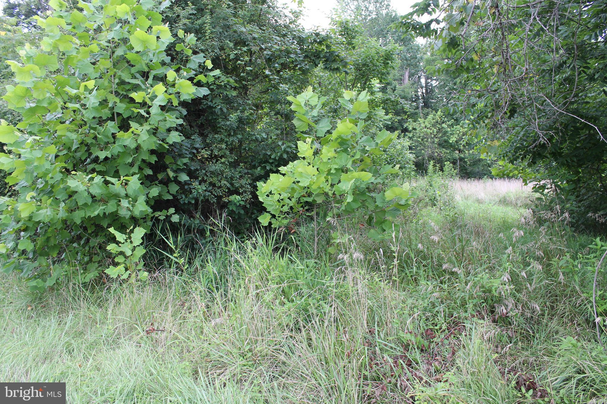 A SECTION - Land