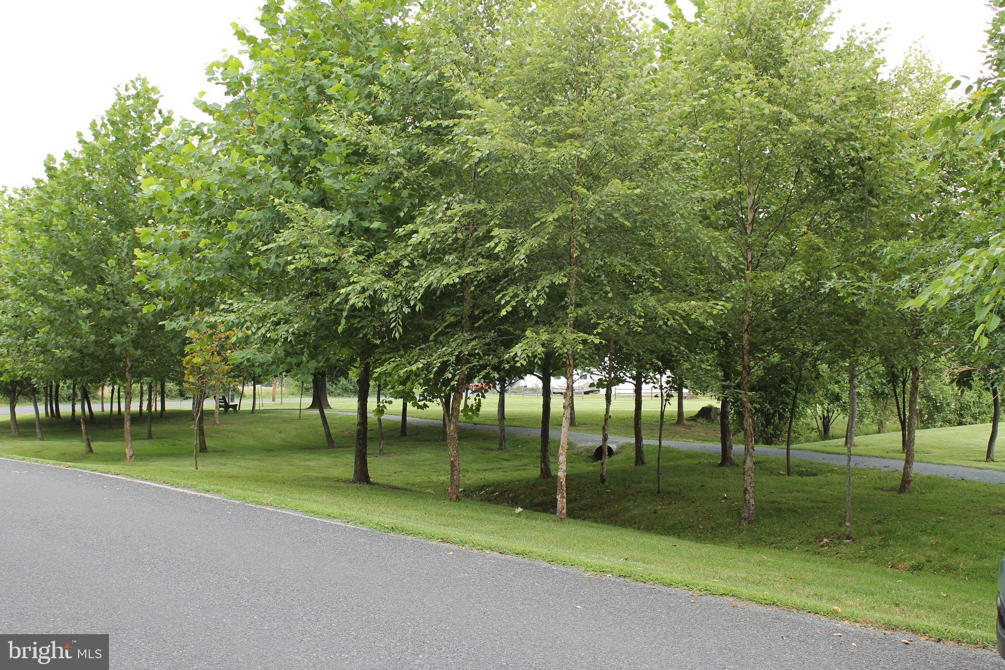 A SECTION - Land