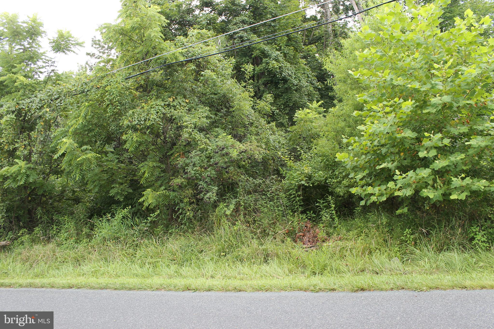 A SECTION - Land