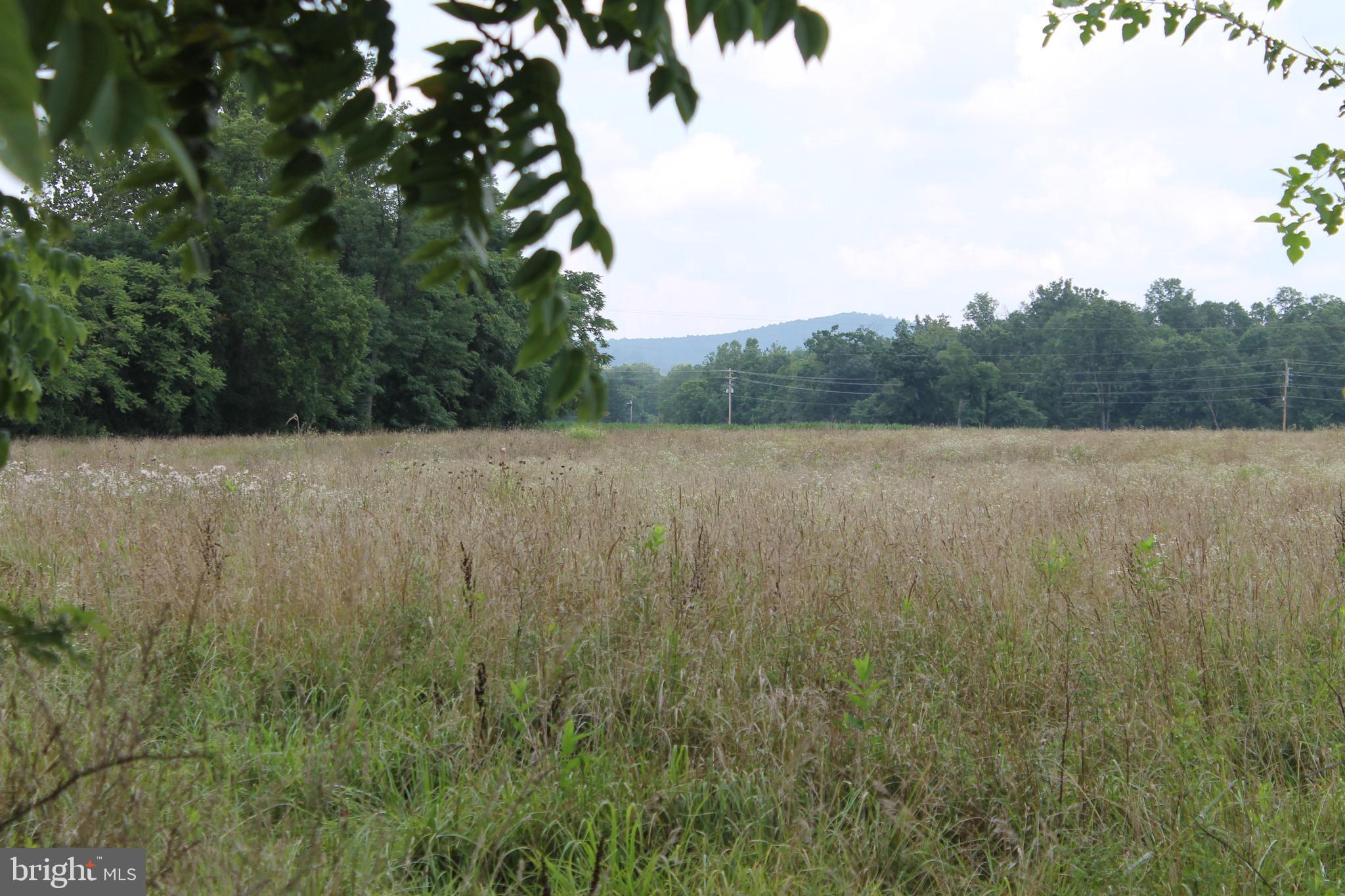 A SECTION - Land