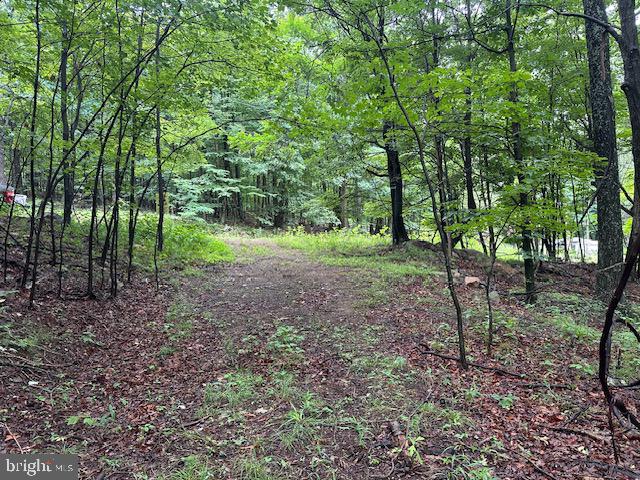 Escape to the mountains with this 2-acre wooded parcel in Romney, WV. Nestled among the scenic hills and natural beauty of the Appalachian Mountains, this raw land offers the perfect setting for a weekend retreat, future cabin, or full-time residence. A driveway with easy access off of the road has been established to a potential build site or an ideal spot to camp. Enjoy privacy, fresh mountain air, and abundant wildlife while still being within a short drive of town conveniences. Whether you're looking to build, camp, or invest in your own piece of Almost Heaven, this property provides endless possibilities for outdoor recreation and peaceful mountain living.